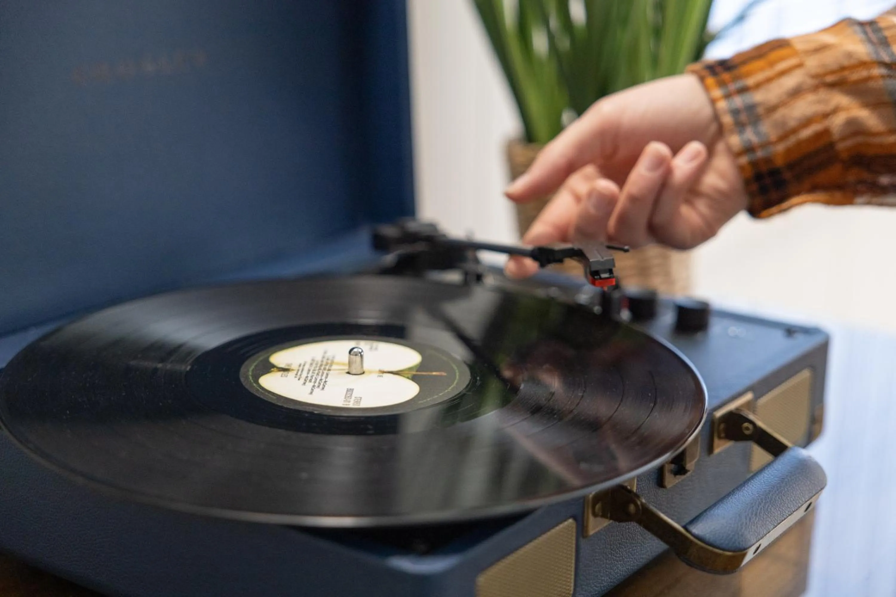 Seascape Motel & Cottages