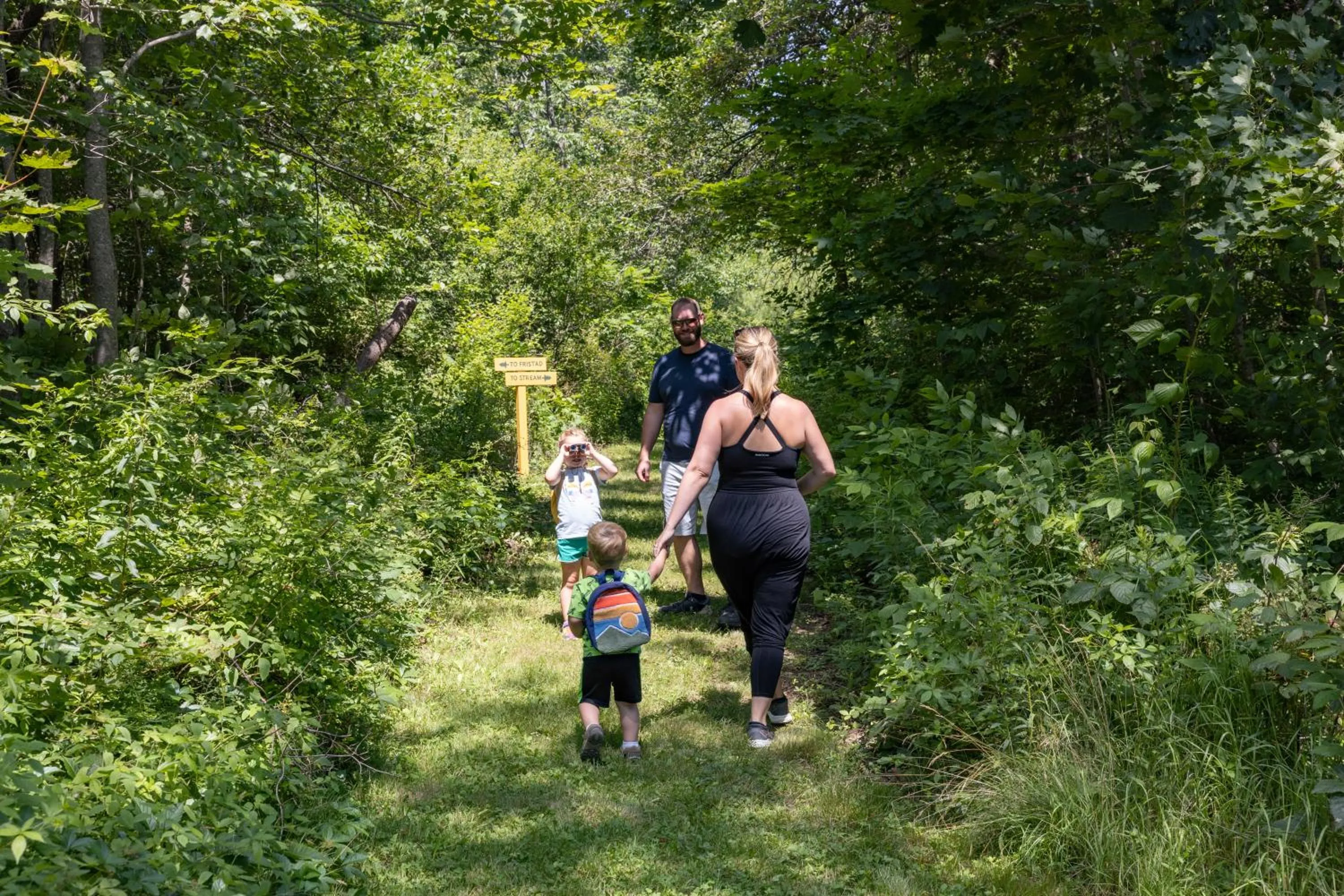 Seascape Motel & Cottages