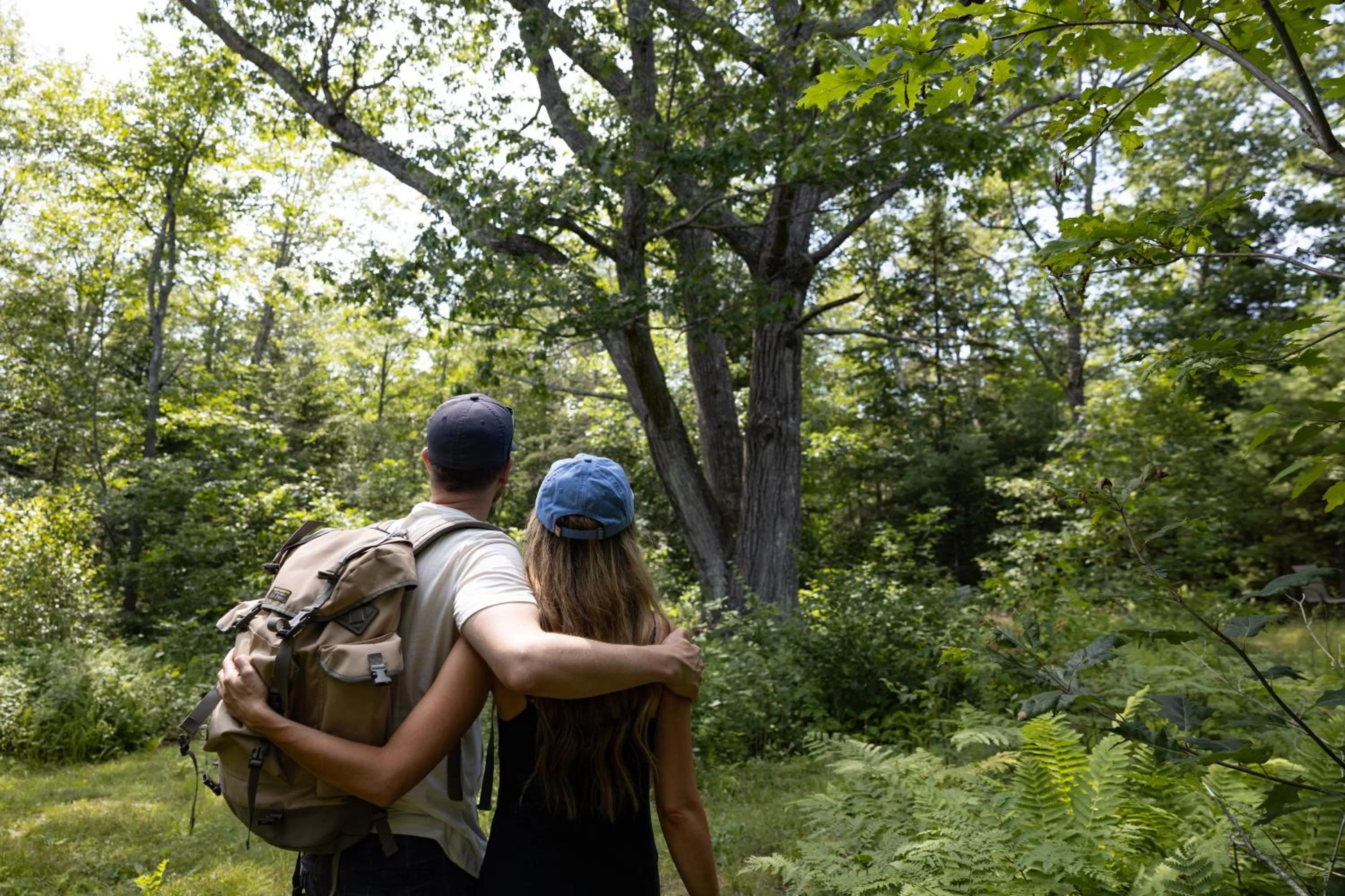 Seascape Motel & Cottages