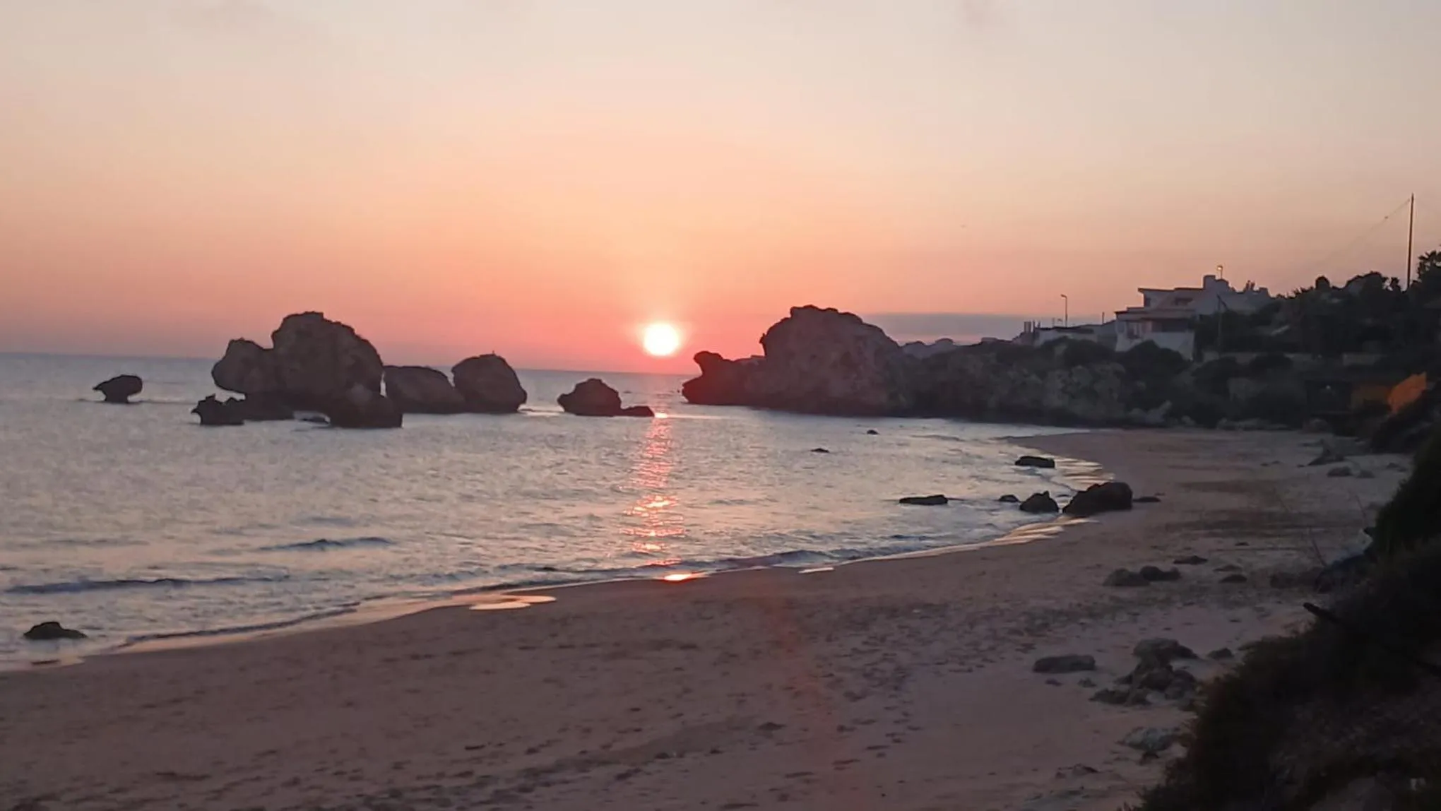 Alba Chiara Licata