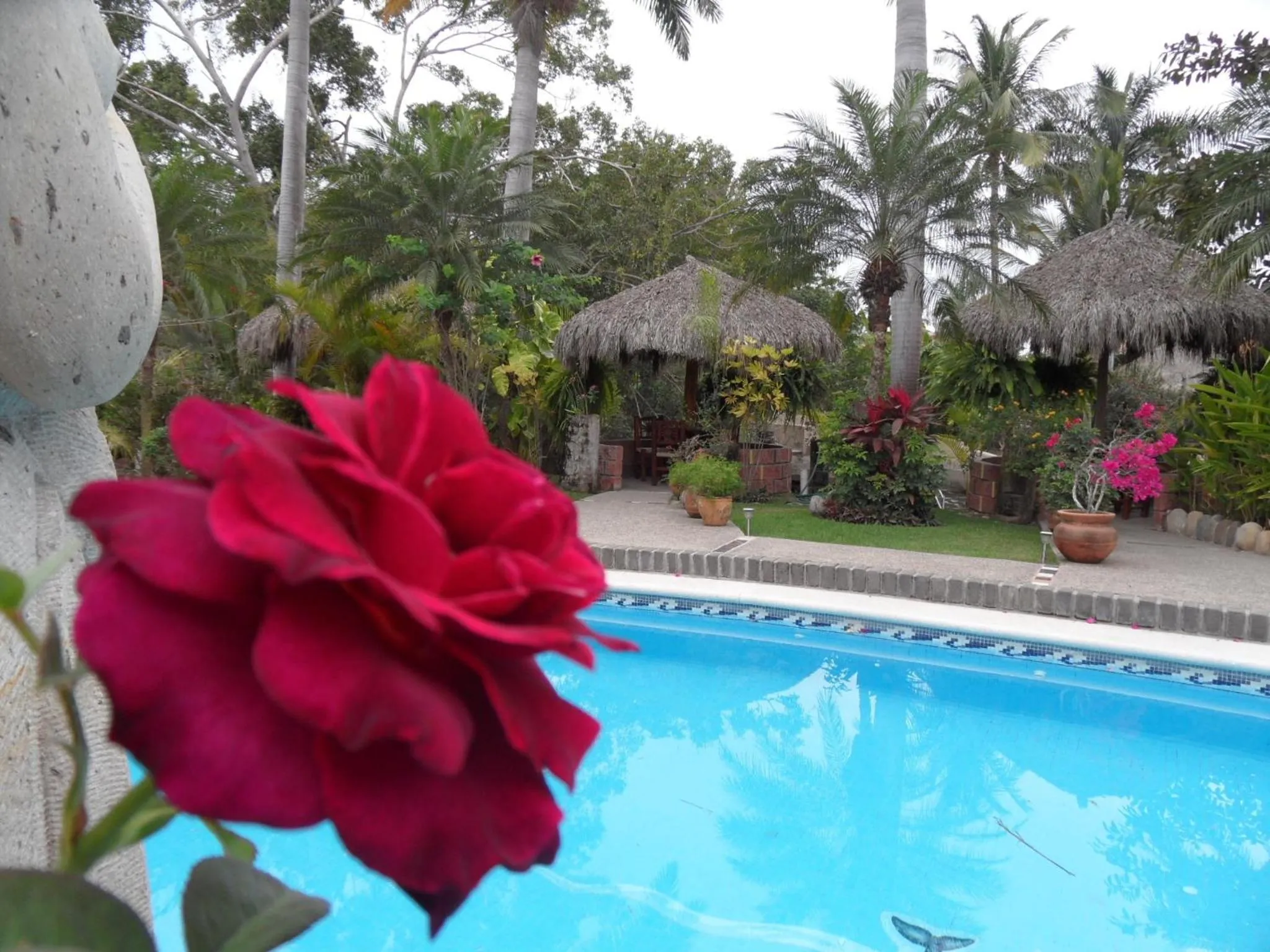 Swimming pool in Casa Virgilio B&B