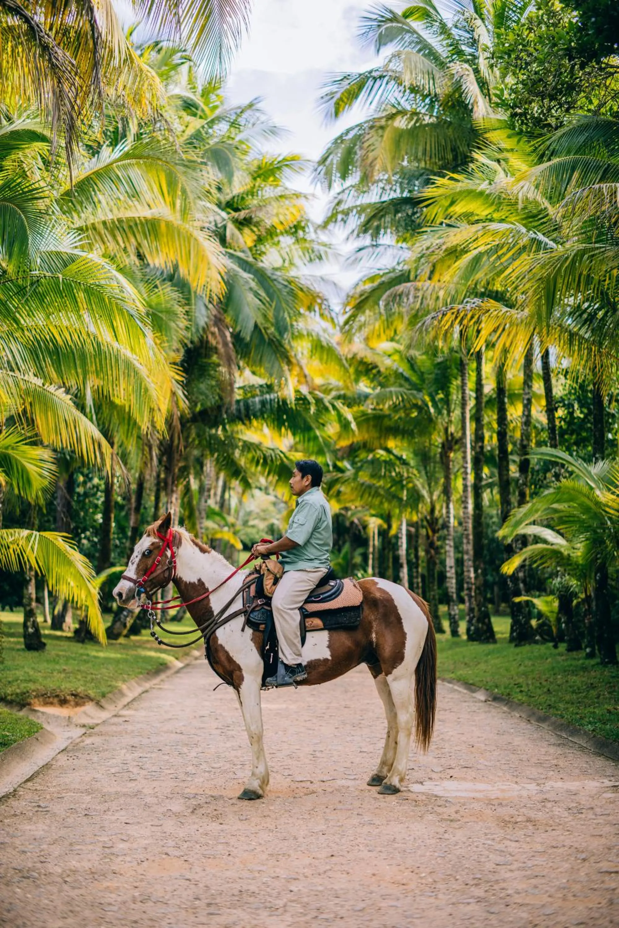 Horse-riding in Blancaneaux Lodge by Francis Ford Coppola