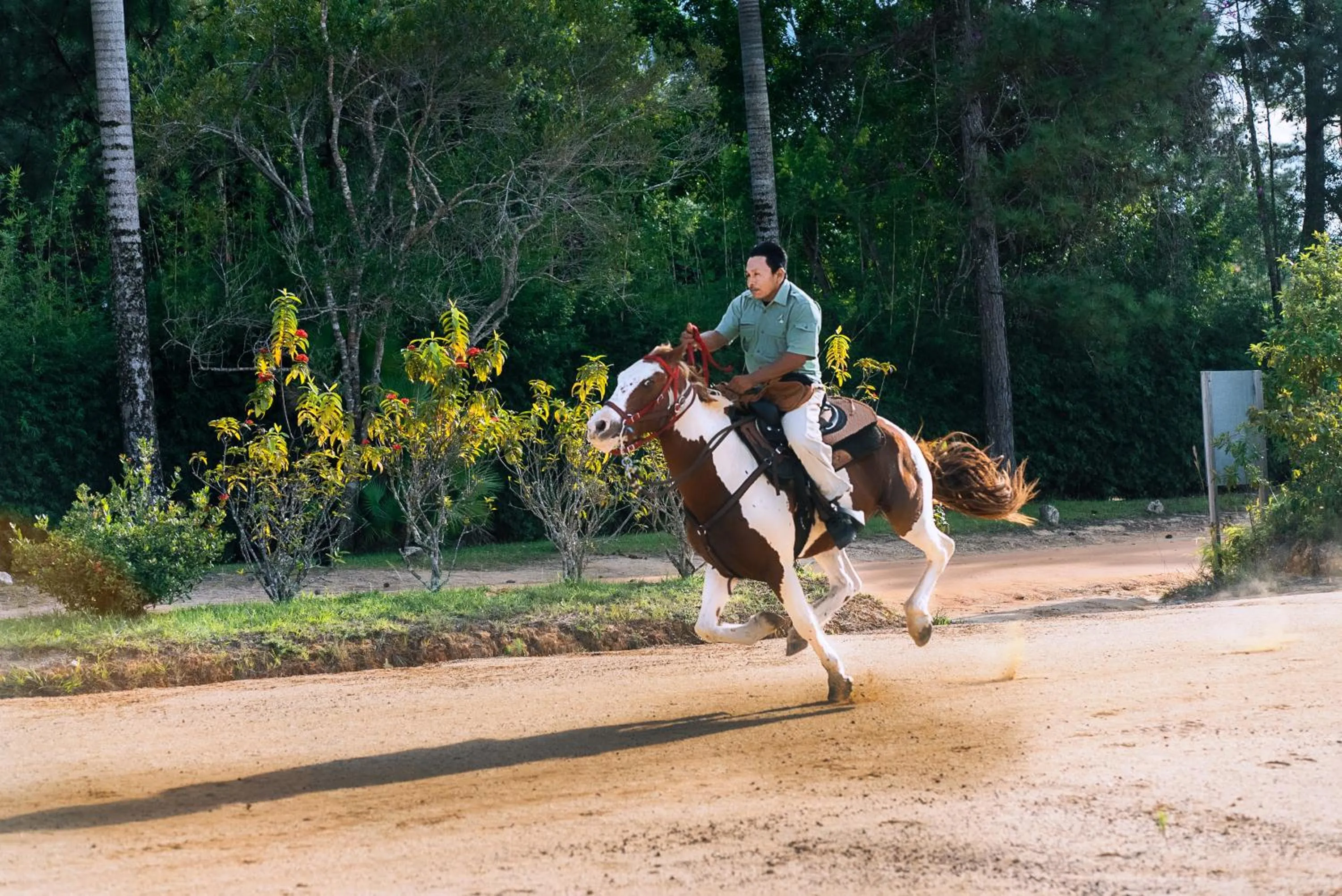 Horse-riding in Blancaneaux Lodge by Francis Ford Coppola