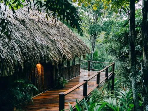 View (from property/room) in Blancaneaux Lodge by Francis Ford Coppola