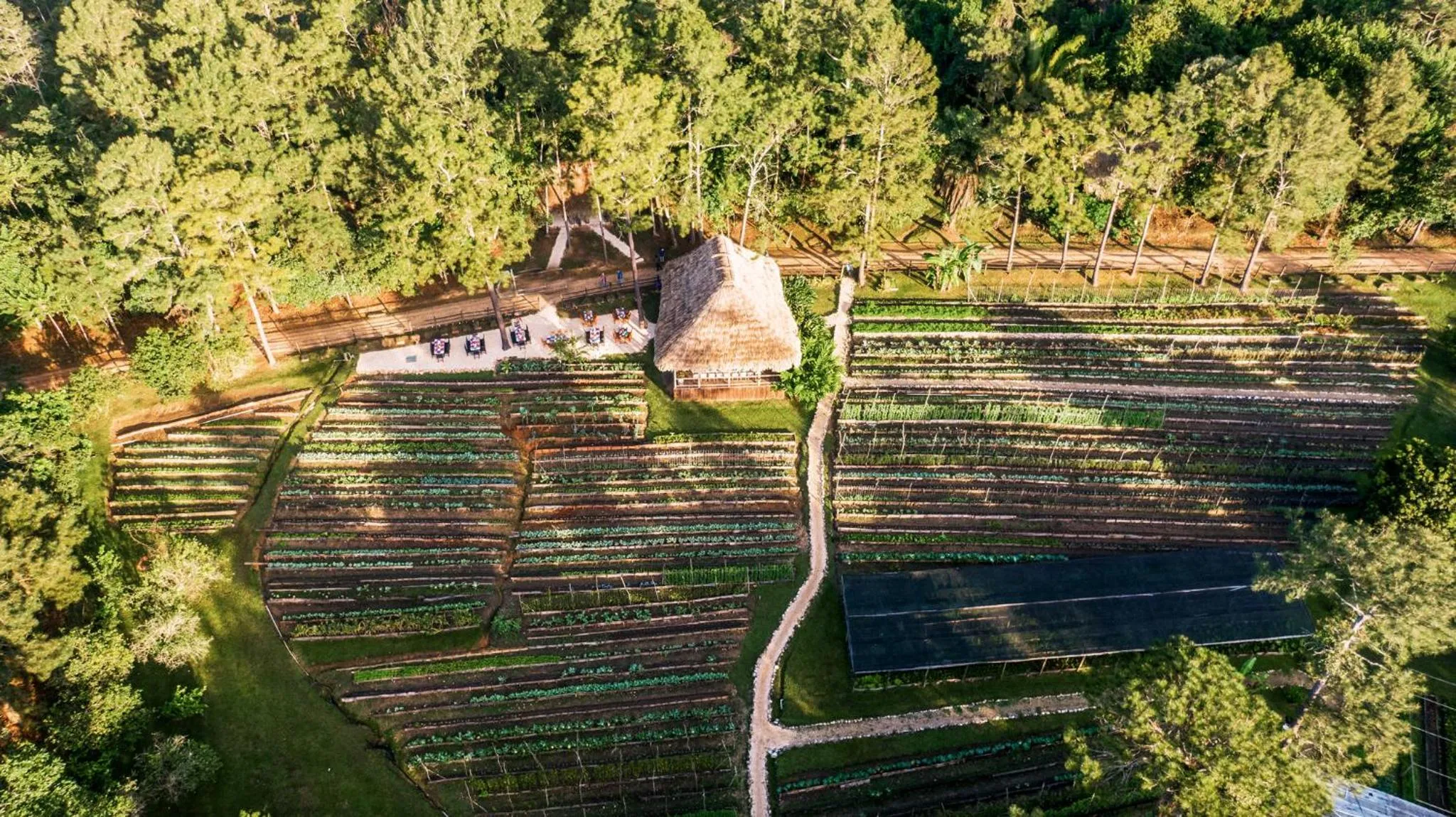 Bird's eye view in Blancaneaux Lodge by Francis Ford Coppola