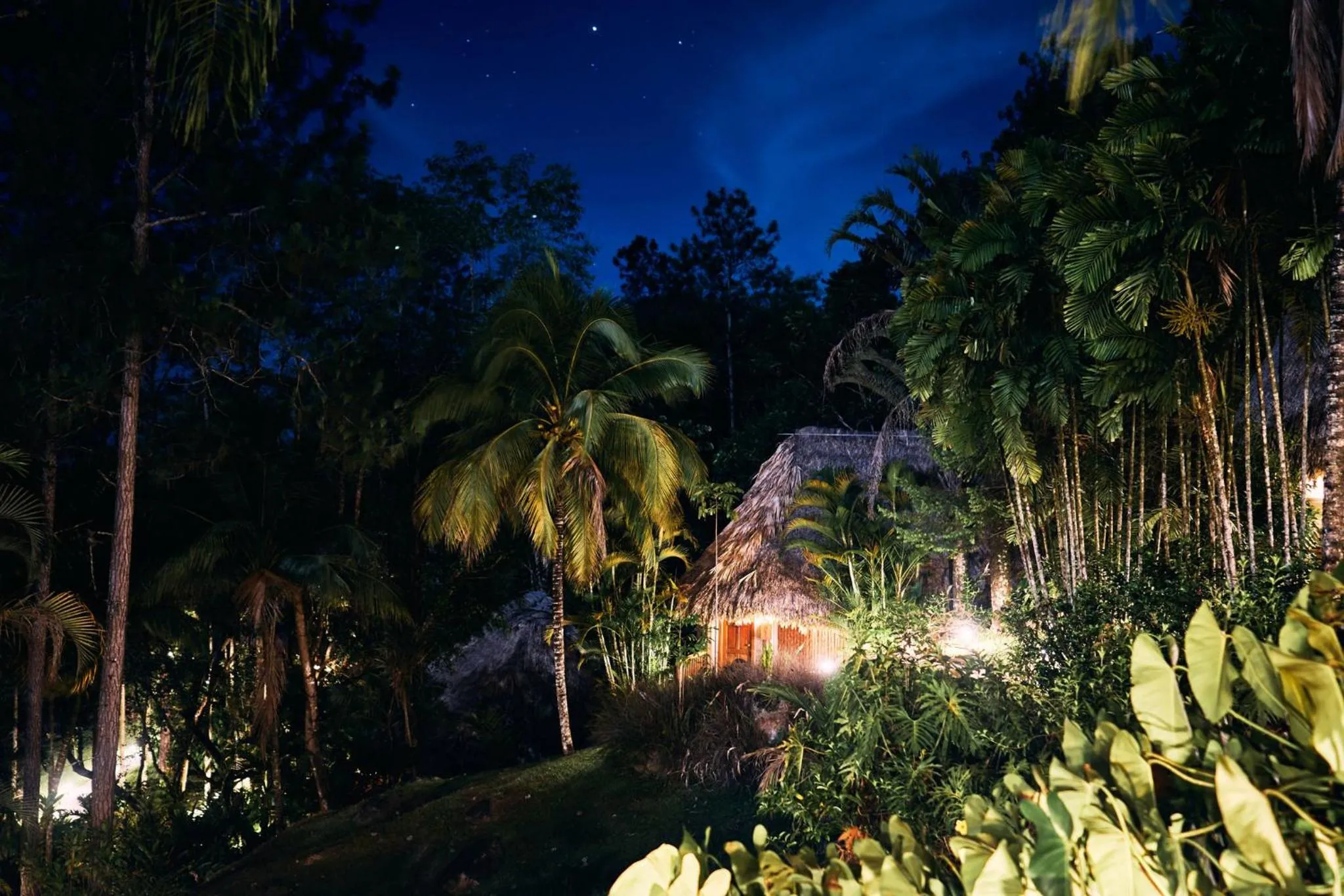 Night in Blancaneaux Lodge by Francis Ford Coppola