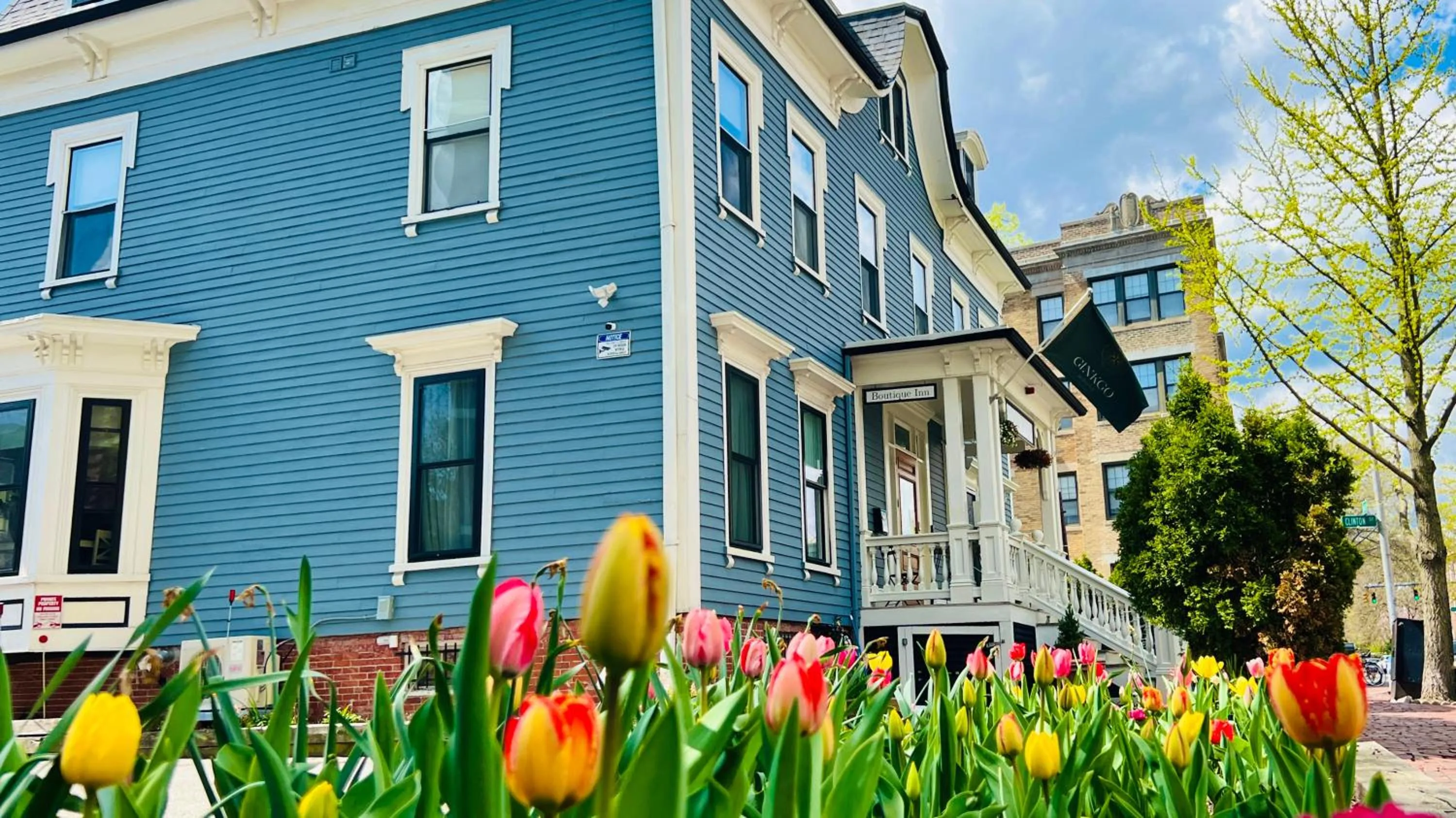 Garden in Ginkgo House on Harvard