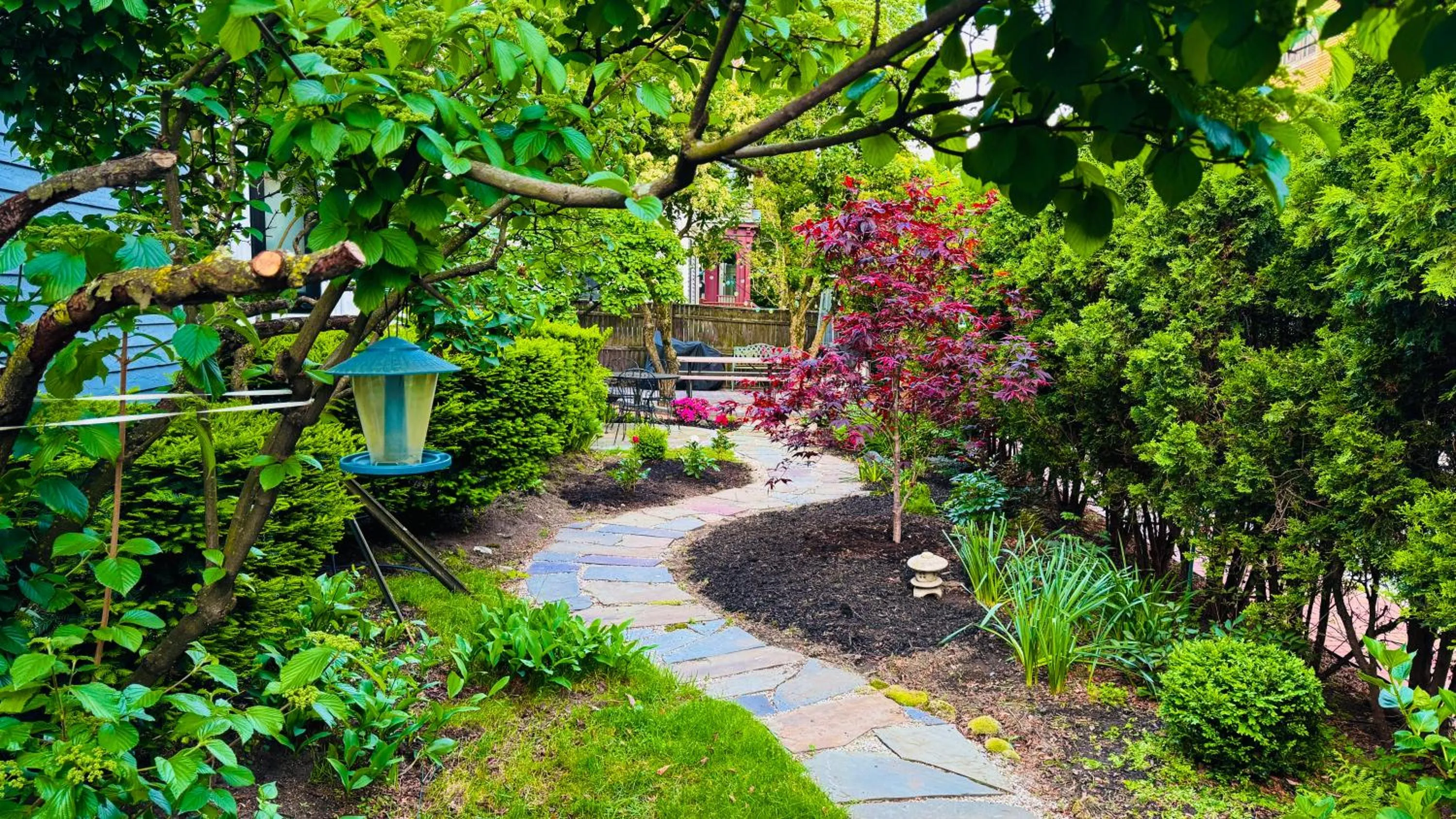 Natural landscape in Ginkgo House on Harvard
