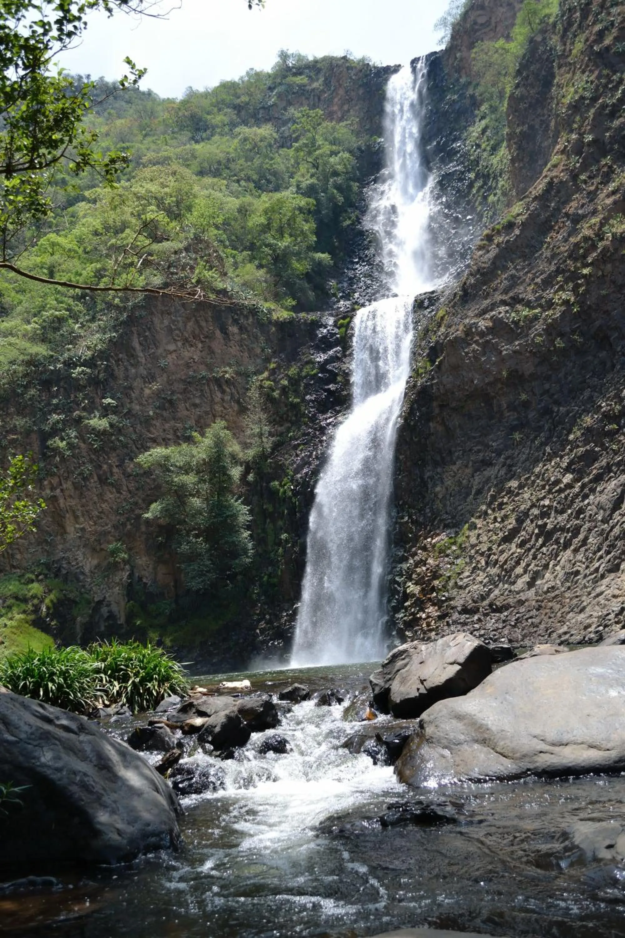 Off site in Hotel La Casona