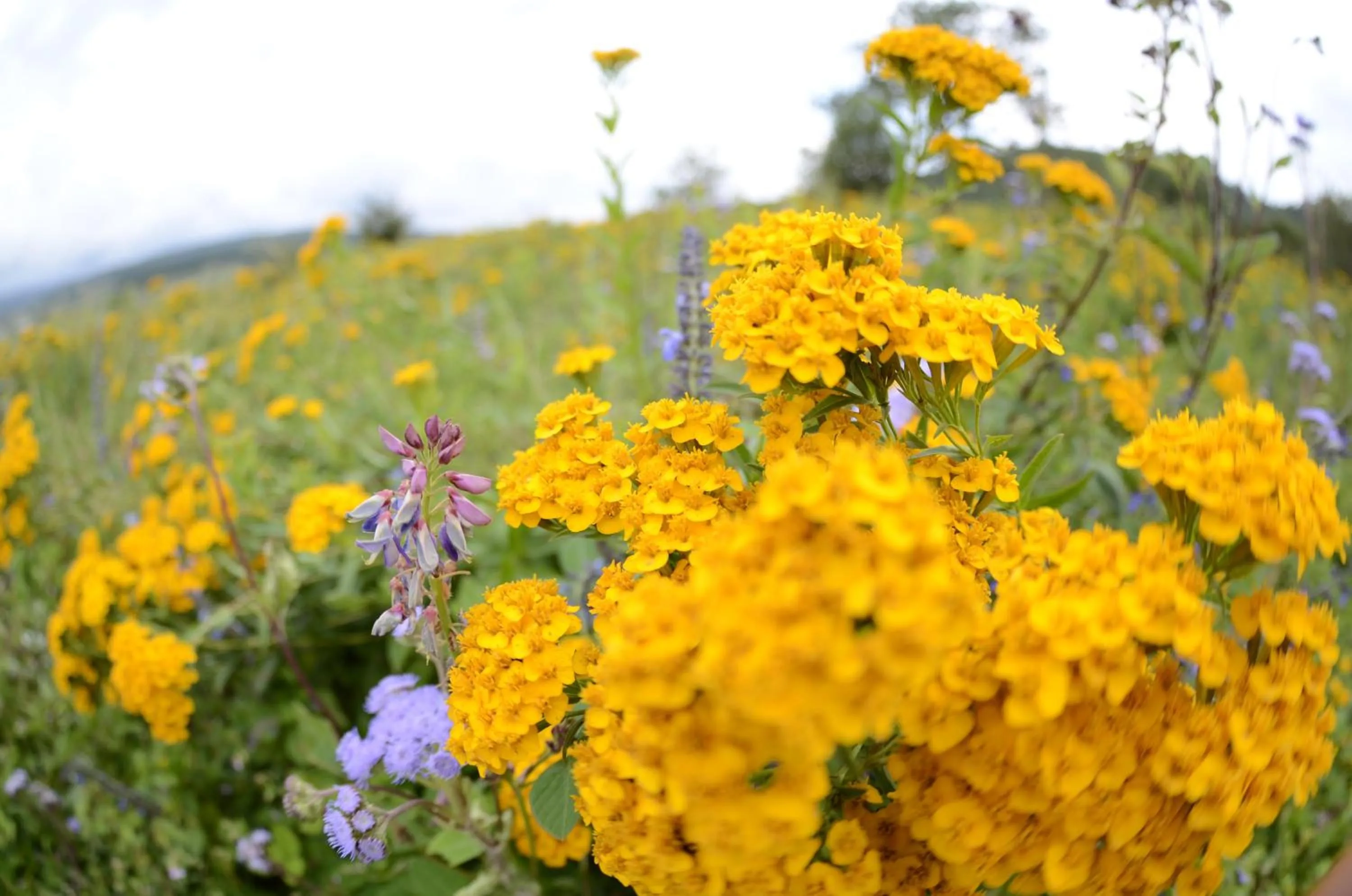 Summer in Hotel La Casona