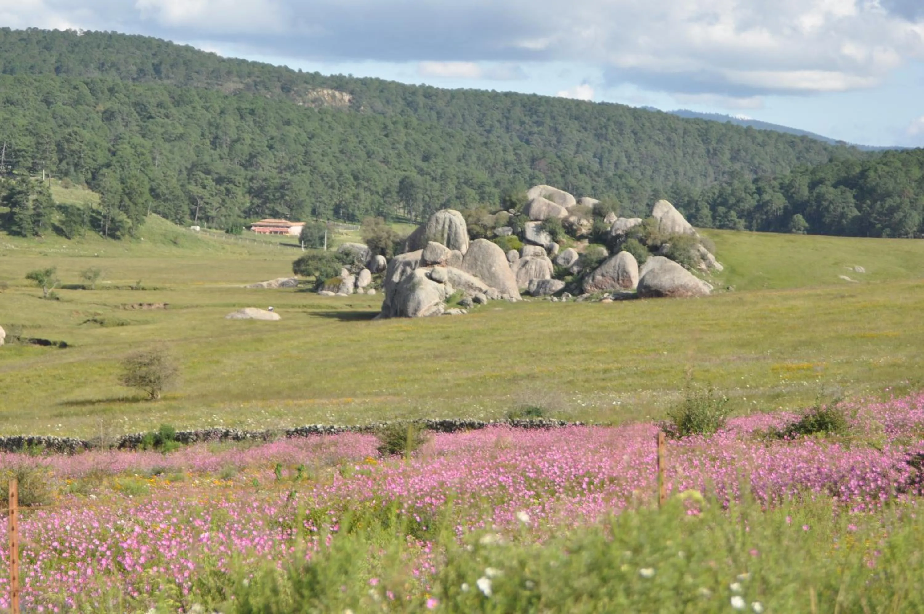 Natural landscape in Hotel La Casona
