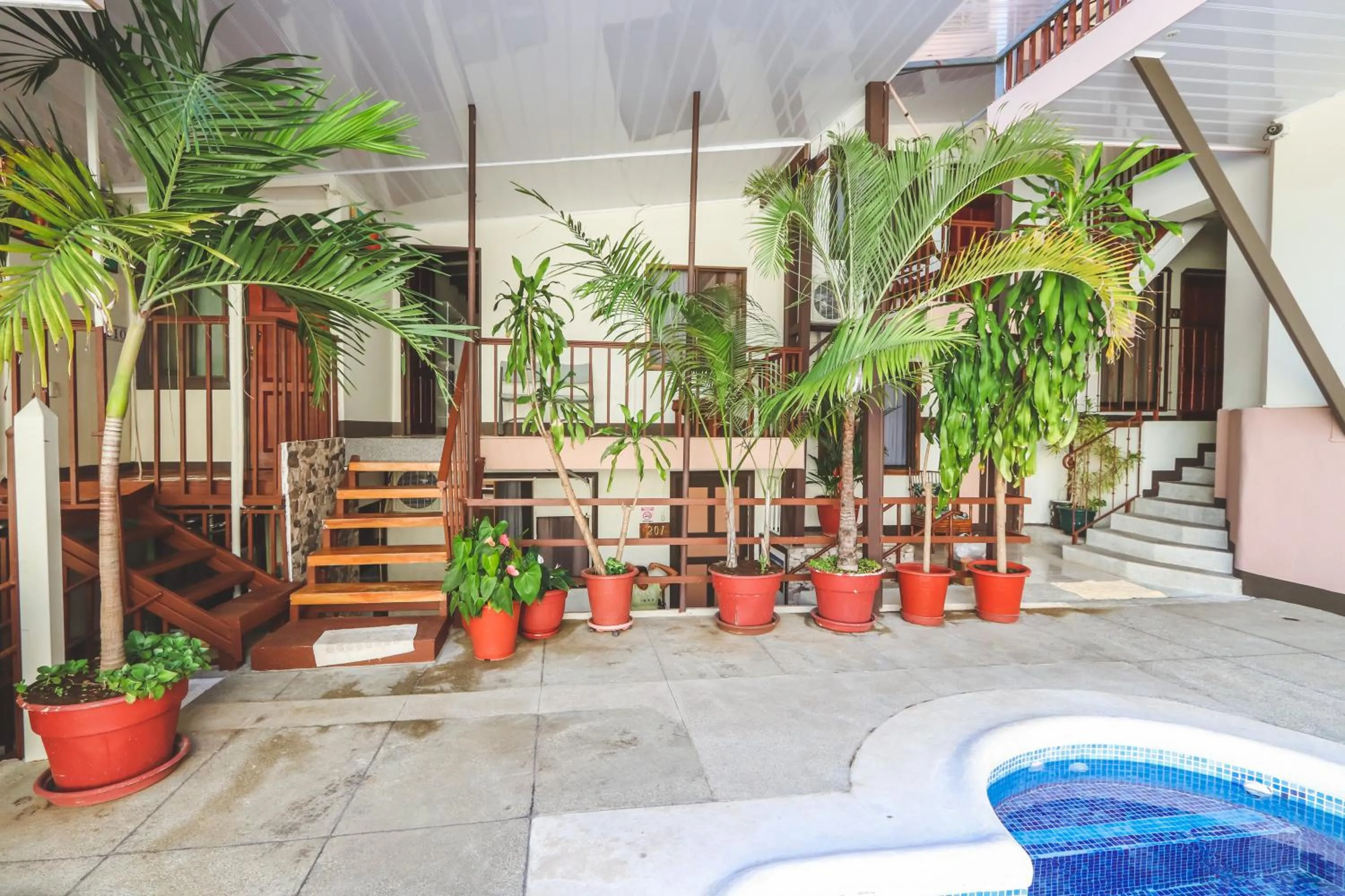 Garden in Hotel Flor Blanca