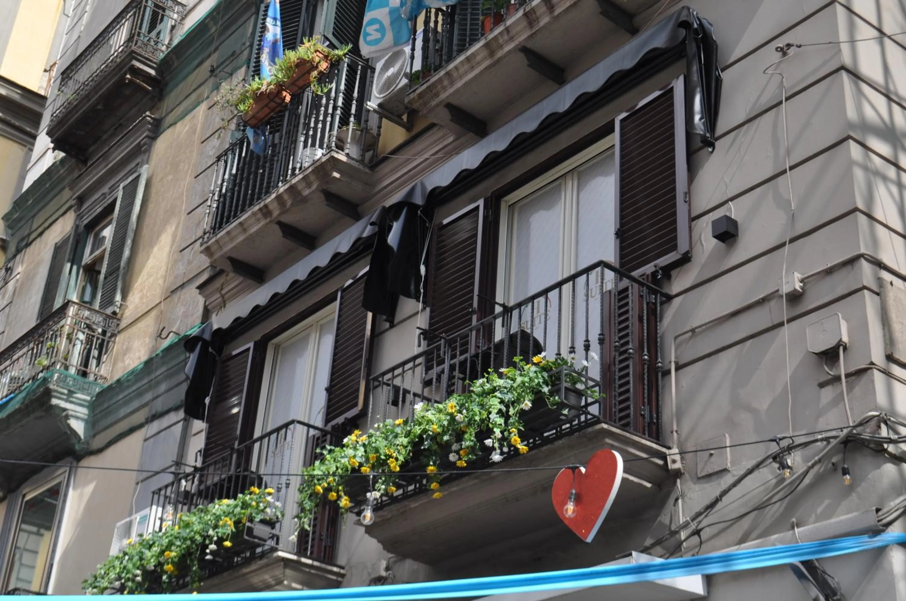 Property building in HSUITE