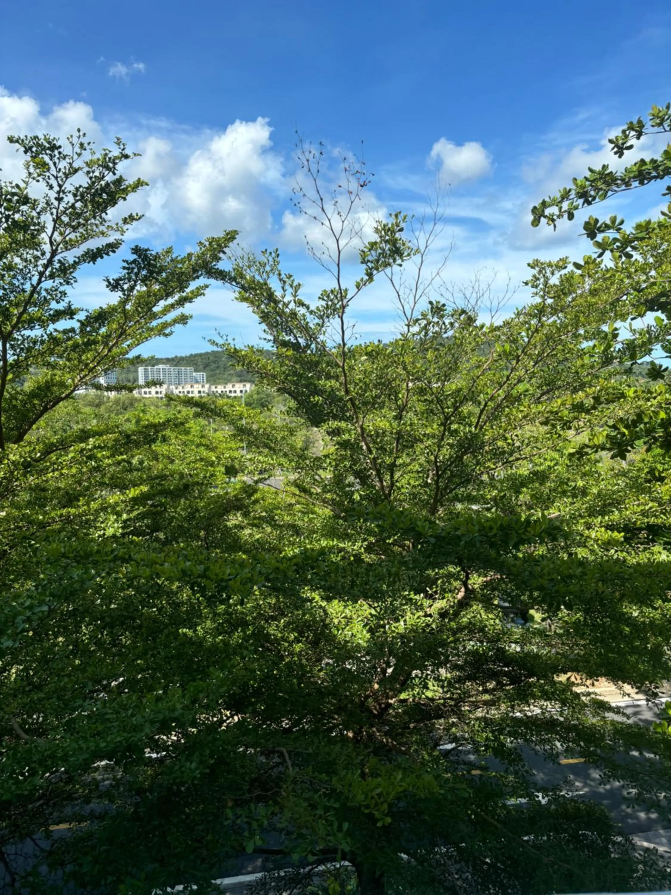 Spring in Green Inn Phu Quoc Hotel