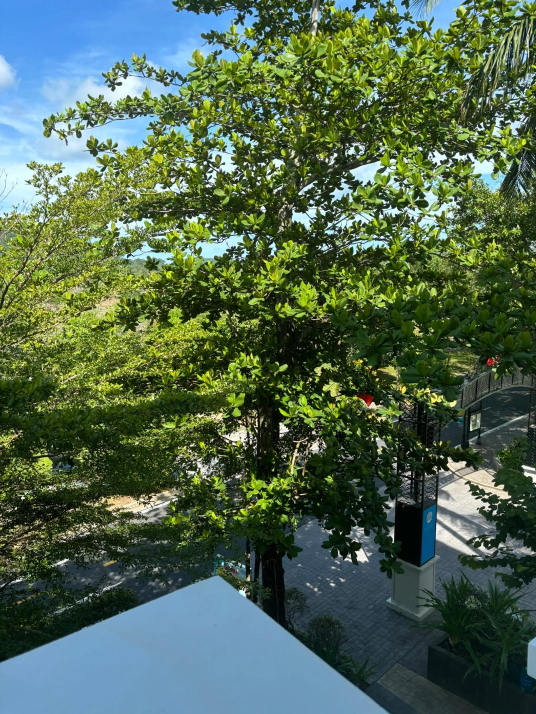 Spring in Green Inn Phu Quoc Hotel