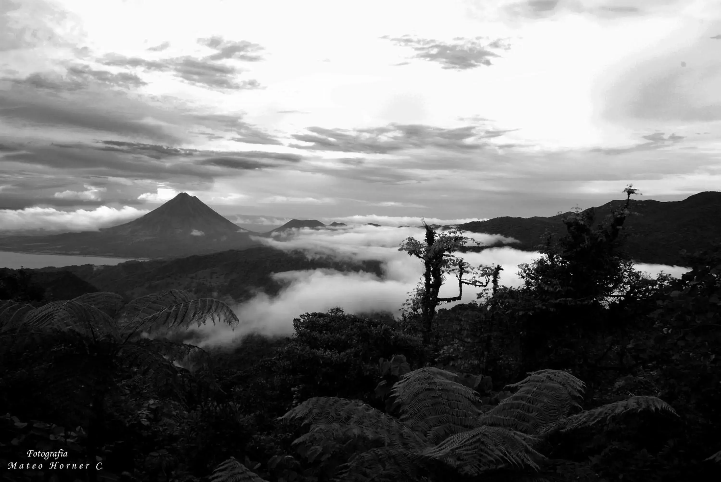 Superior Double Room with Two Double Beds in Vistaverde Lodge Superior Double Room with Two Double Beds in Vistaverde Lodge