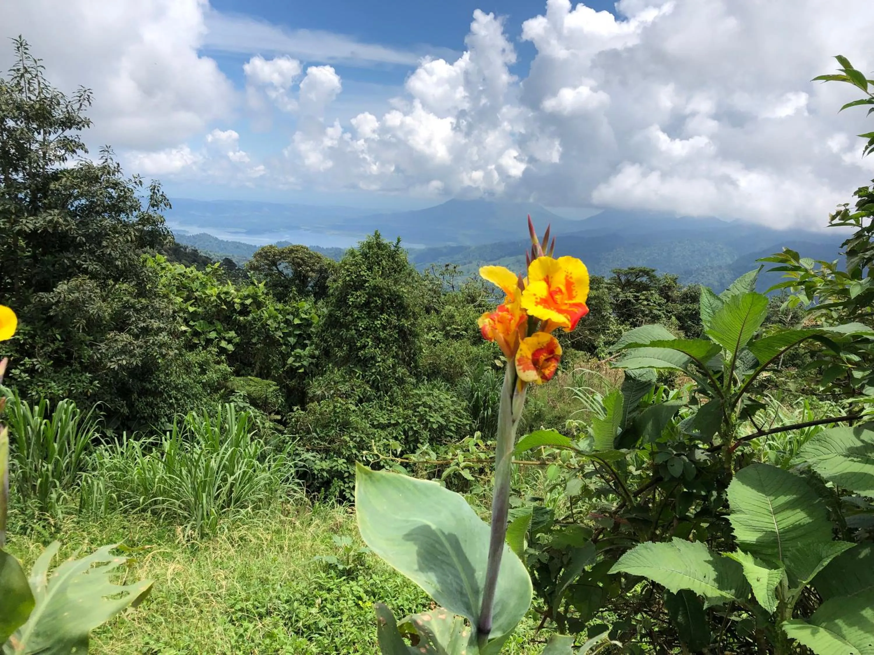 Natural landscape in Vistaverde Lodge