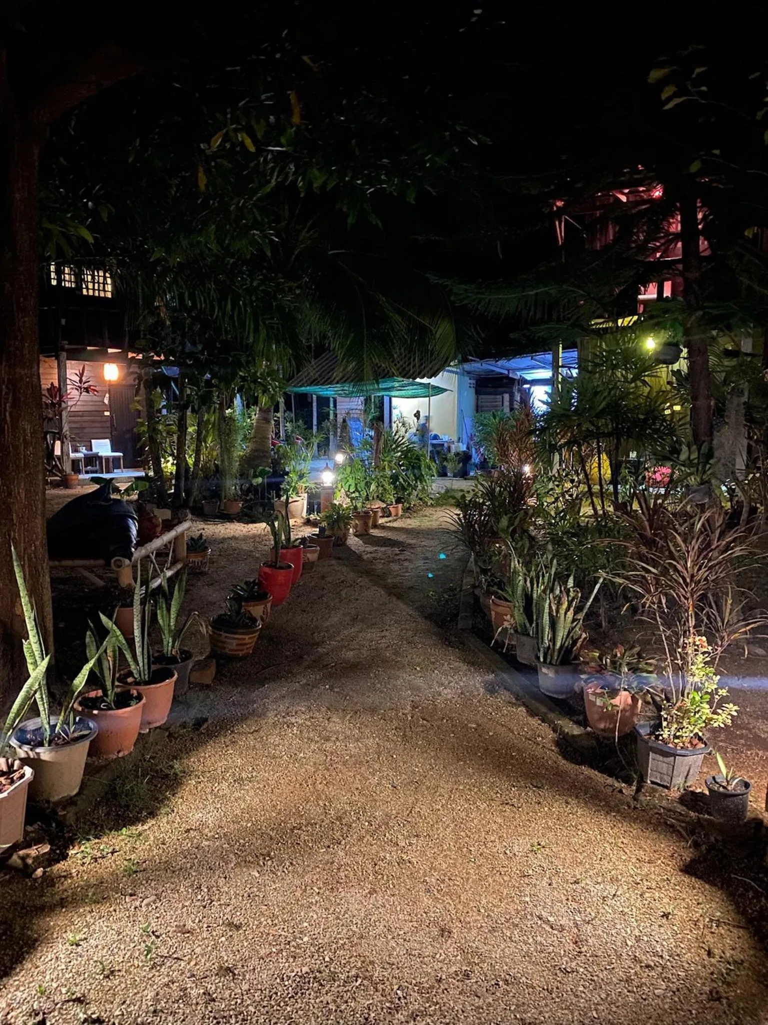 Property building in Leaf House Bungalows SHA PLUS approved