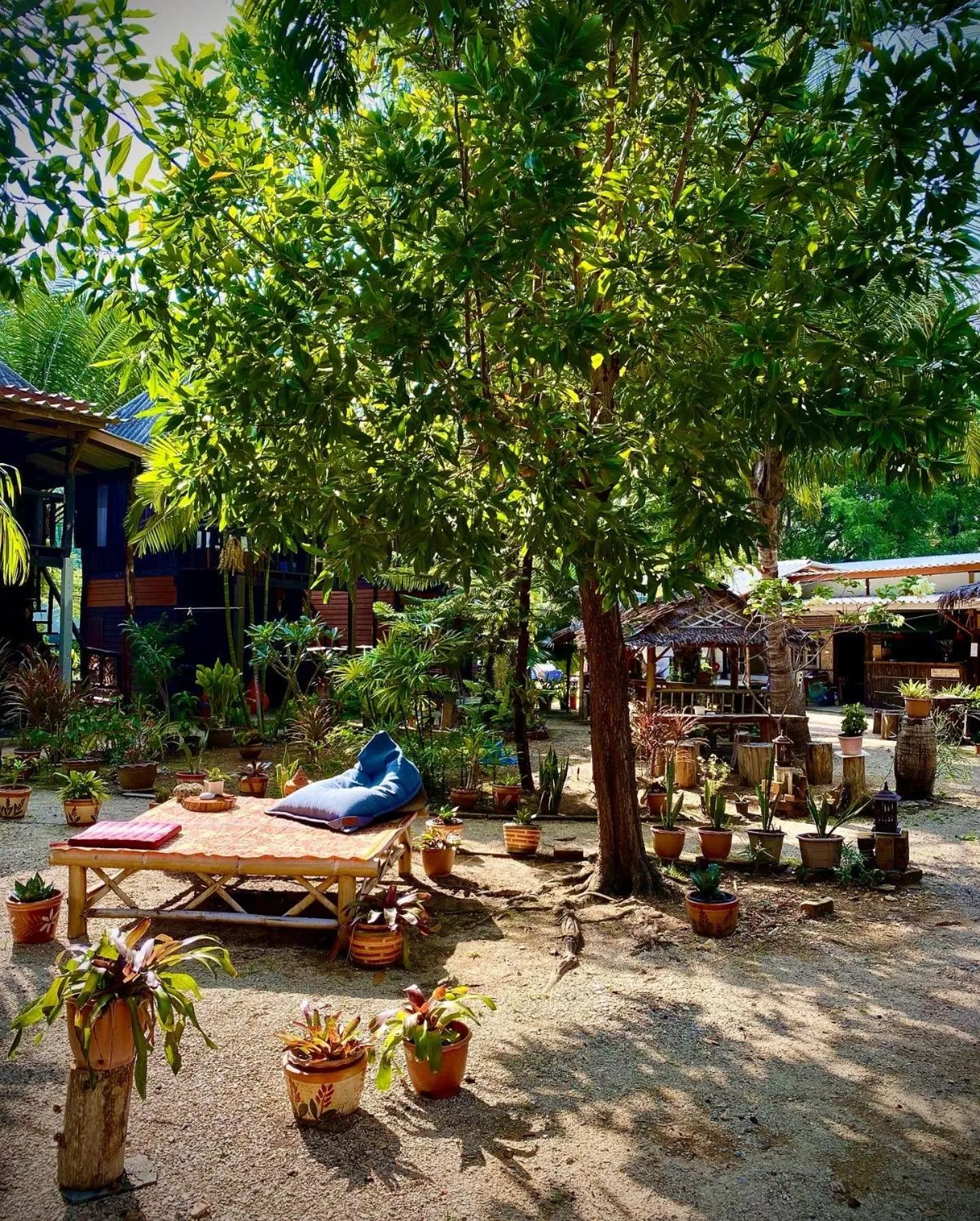 Patio in Leaf House Bungalows SHA PLUS approved