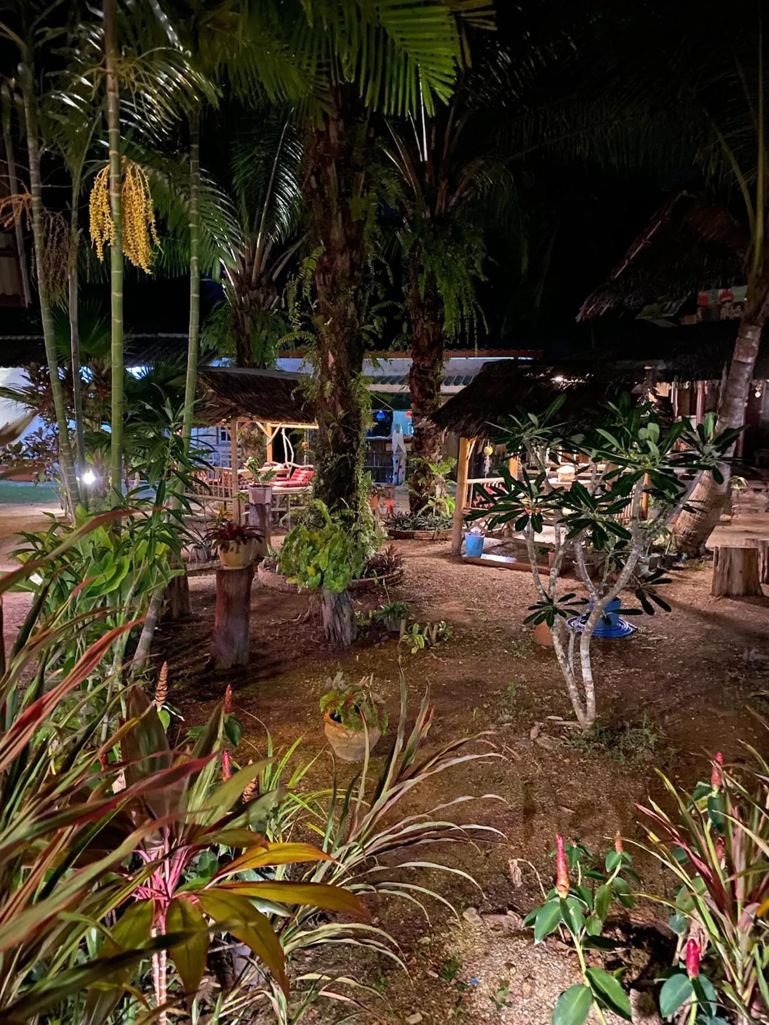 Garden in Leaf House Bungalows SHA PLUS approved