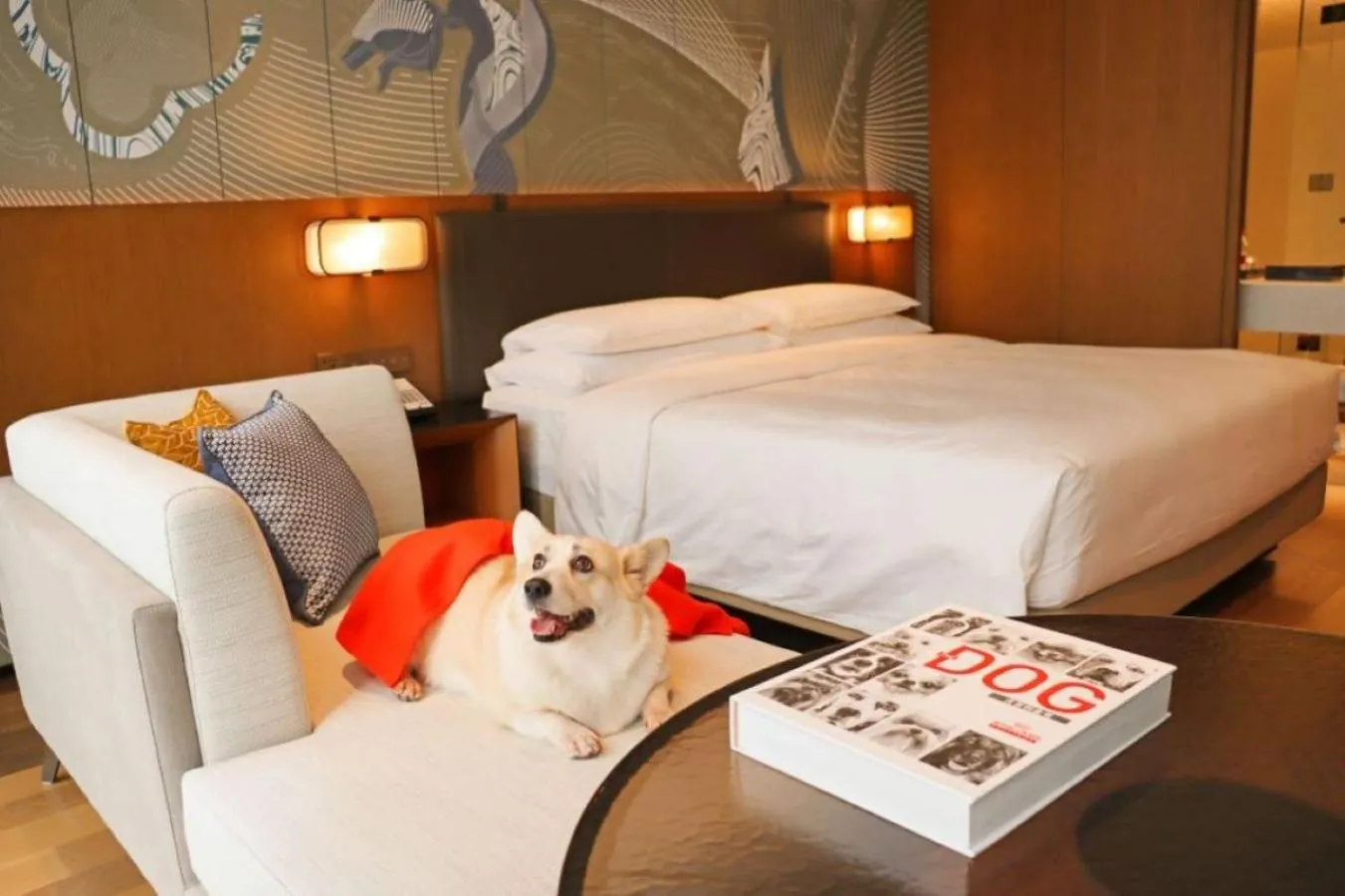 Hyatt Centric Gaoxin Xi'An