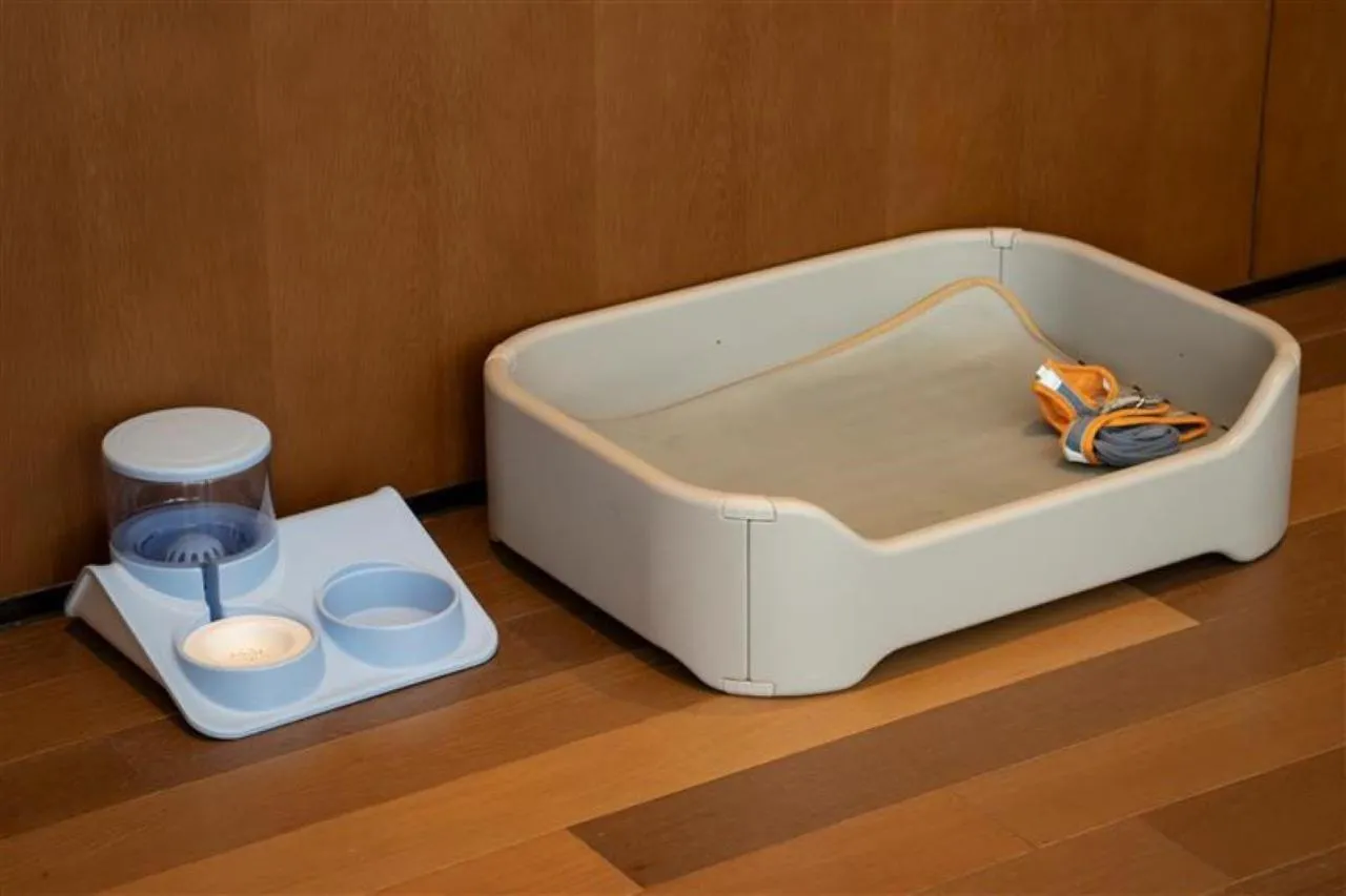 Pets in Hyatt Centric Gaoxin Xi'An