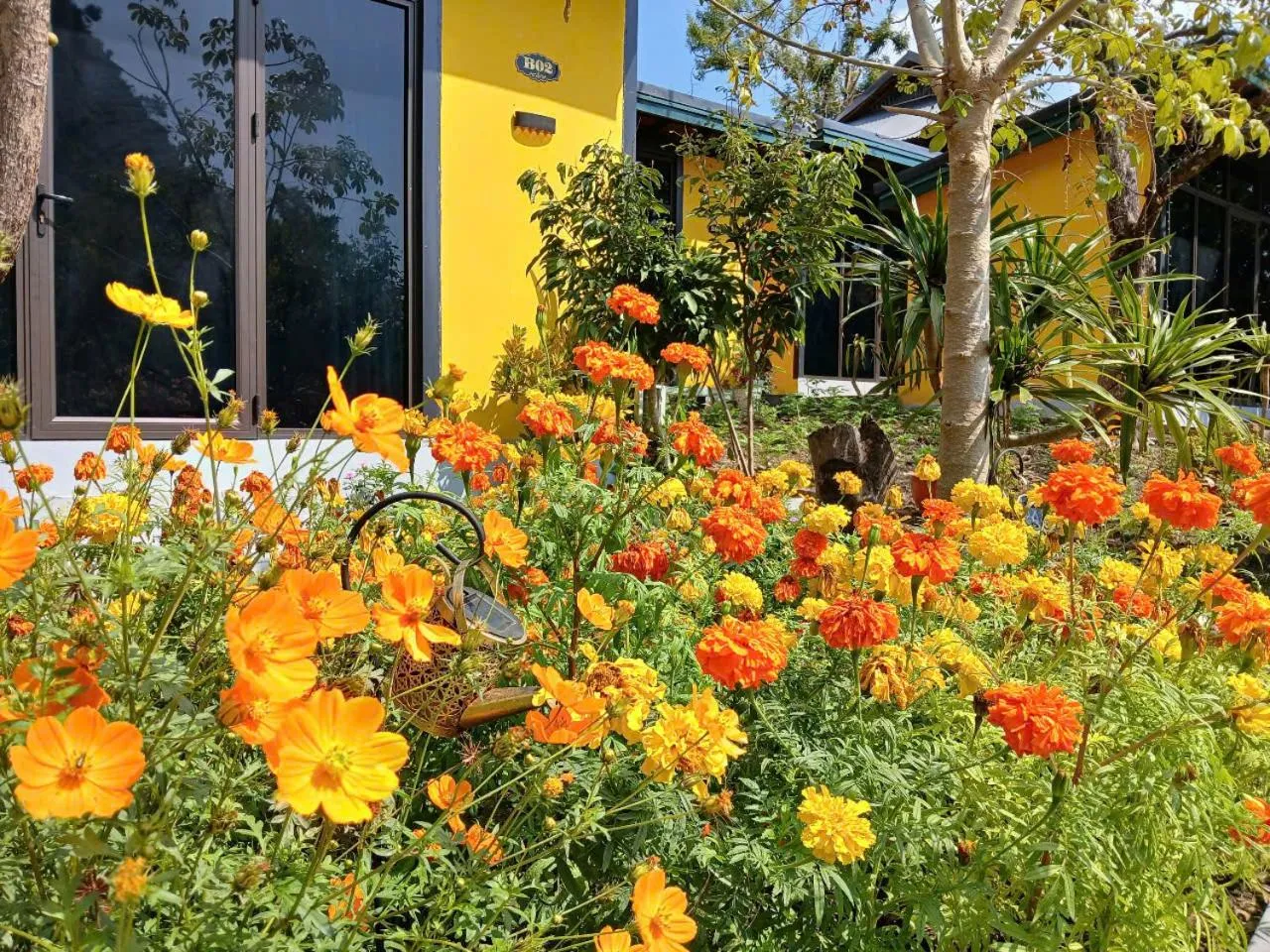 Garden in Catba Papillon Garden Bungalows & Resort