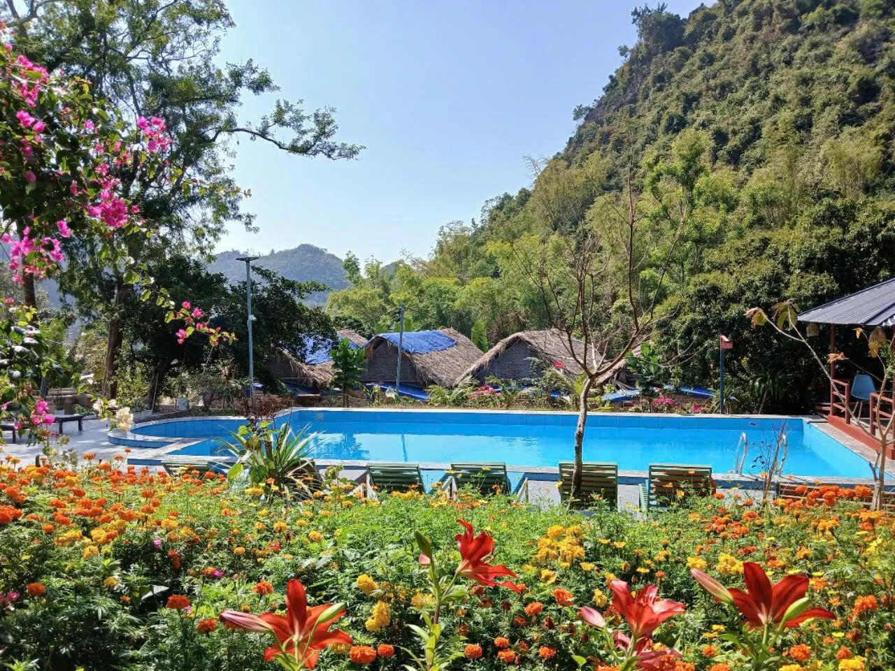 Swimming pool in Catba Papillon Garden Bungalows & Resort