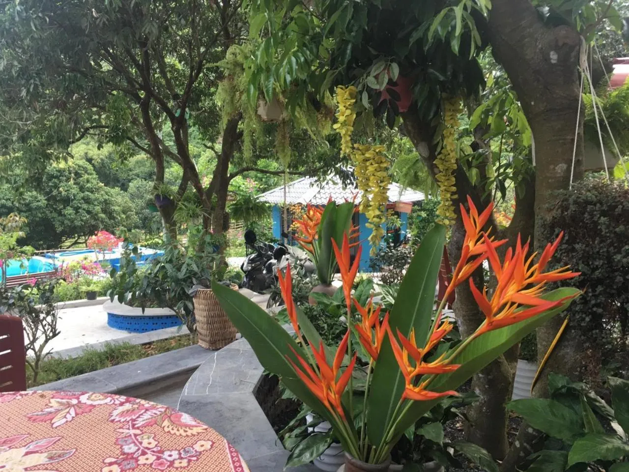 Restaurant/places to eat in Catba Papillon Garden Bungalows & Resort