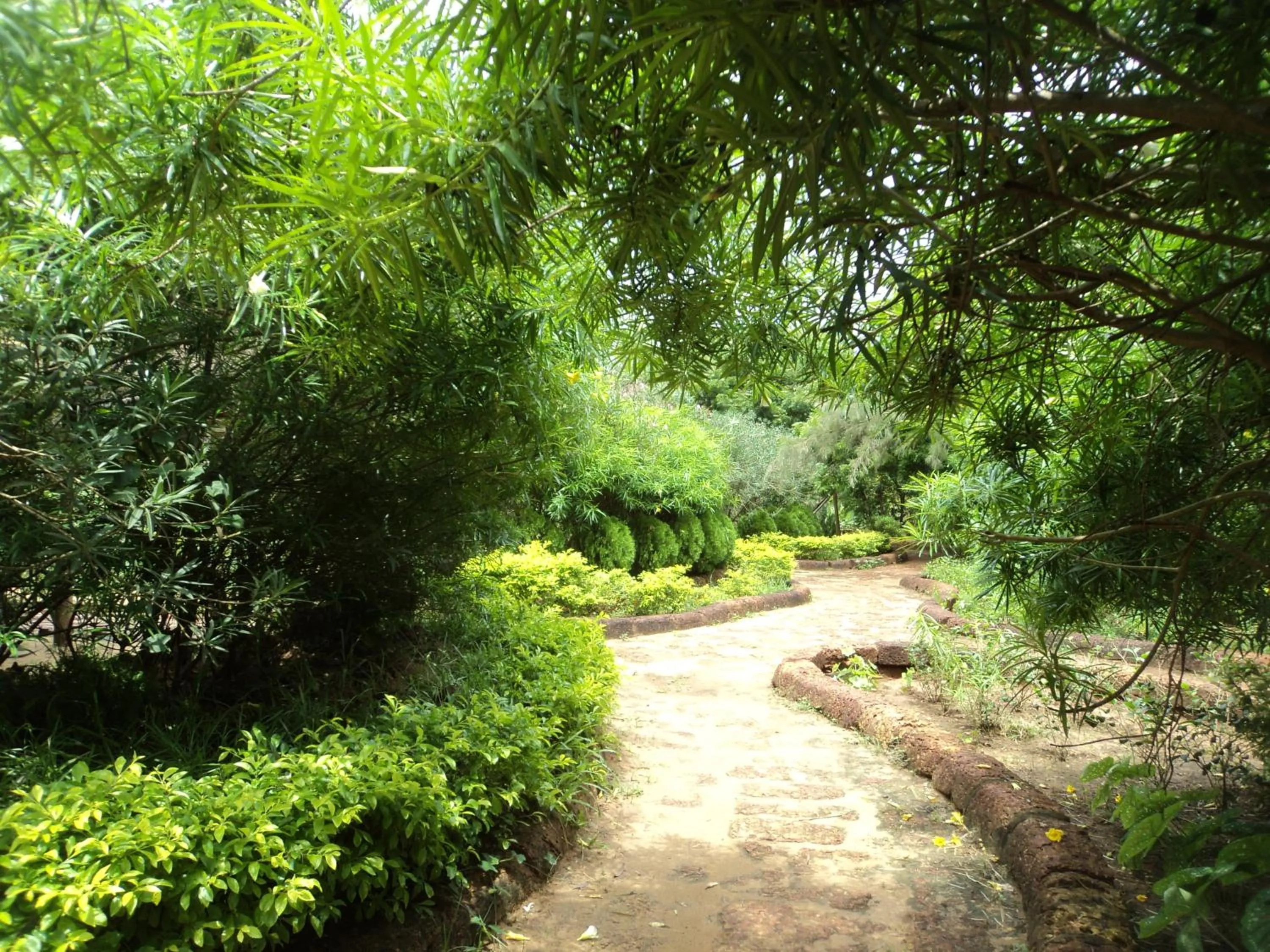 Garden in Lotus an Eco Resort Konark