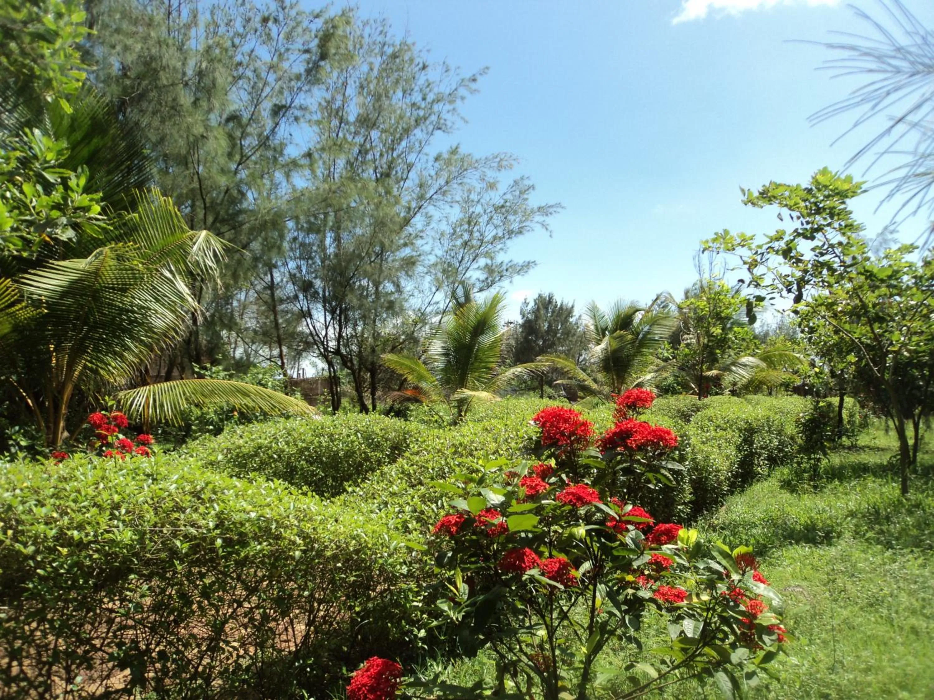 Garden in Lotus an Eco Resort Konark