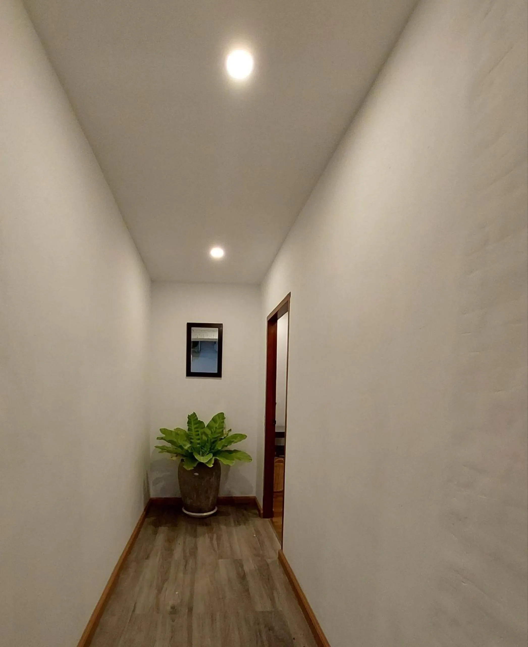 Garden in Sun Chakra Boutique Hotel - 50m to Museum & Royal Palace & Walking street