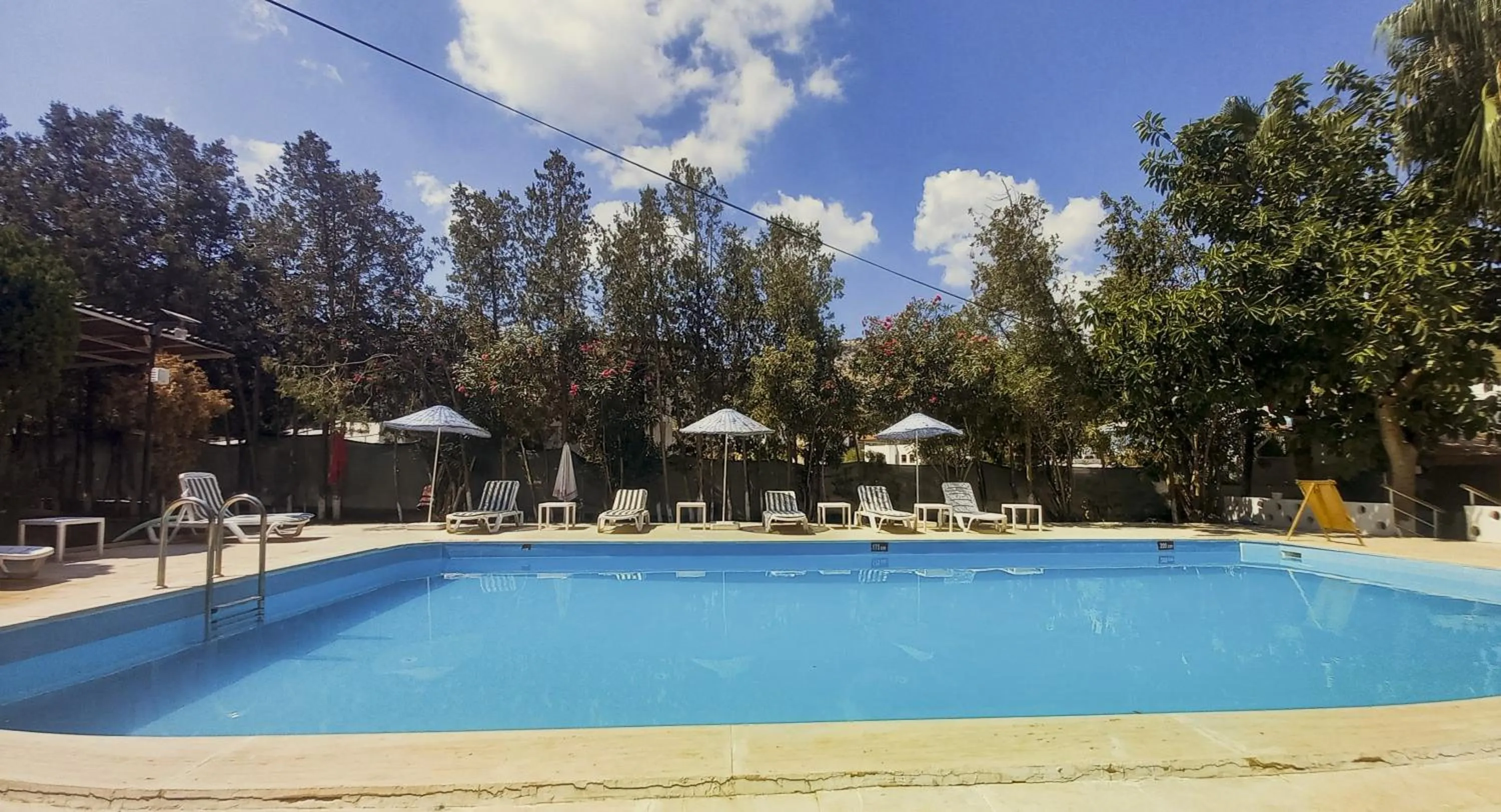 Pool view in Hotel Tropicana