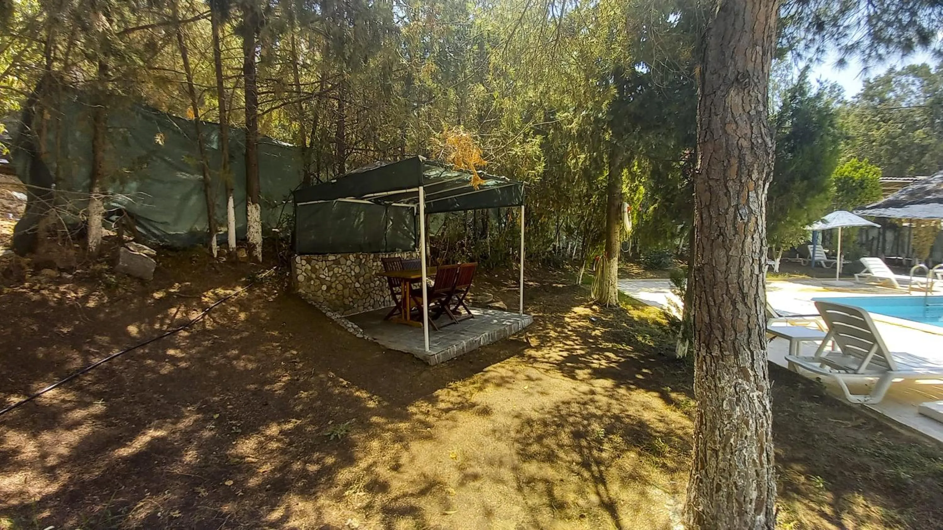 Garden in Hotel Tropicana