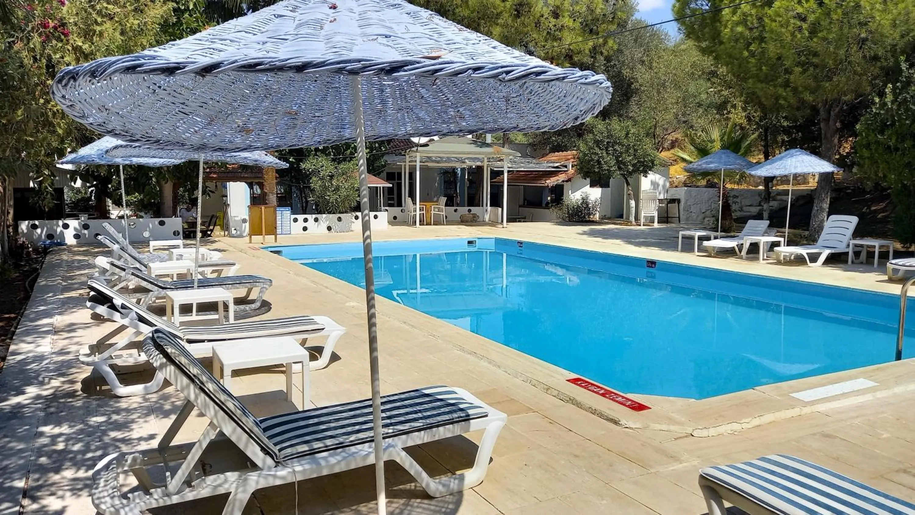 Pool view in Hotel Tropicana