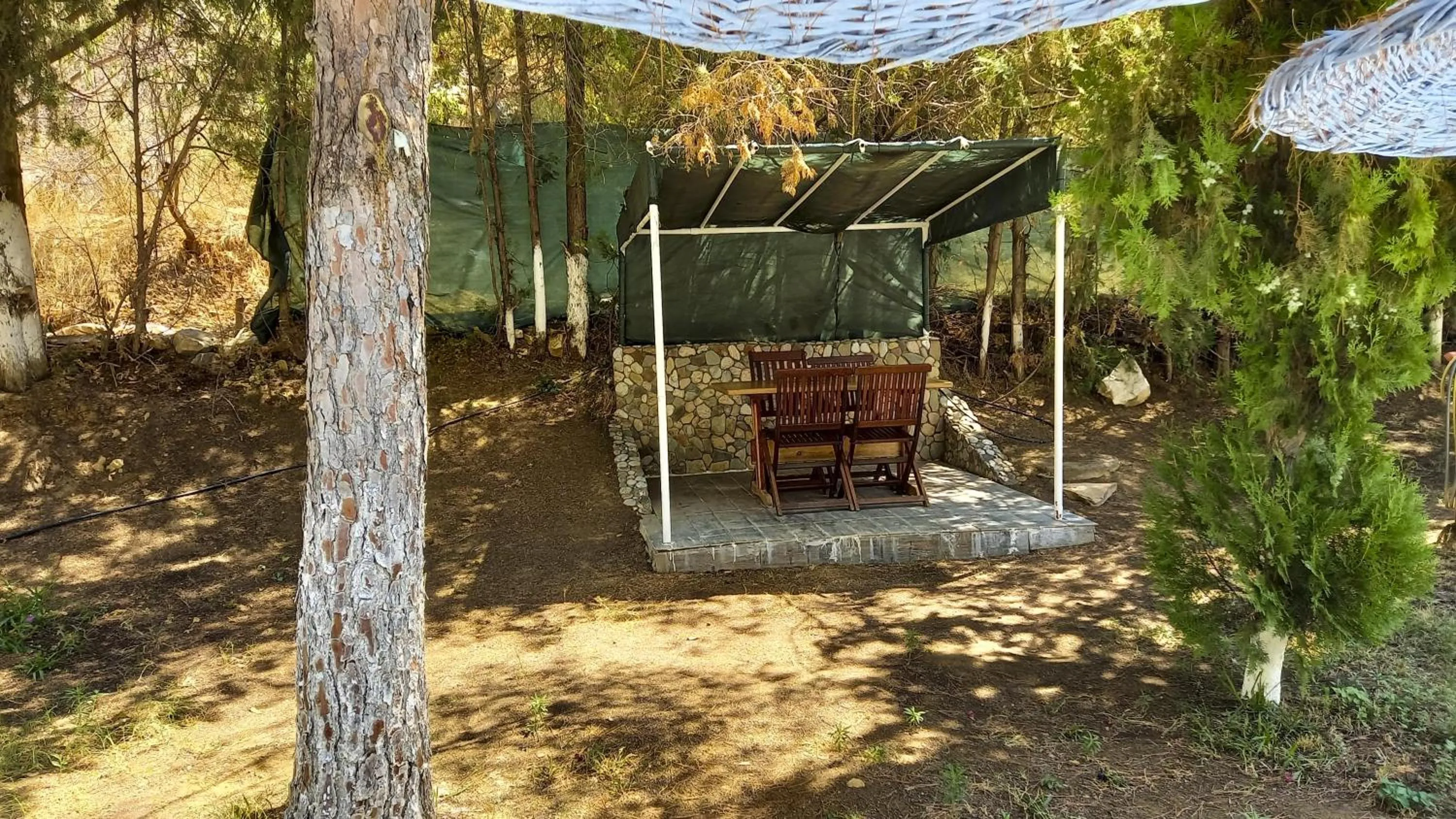 Garden in Hotel Tropicana