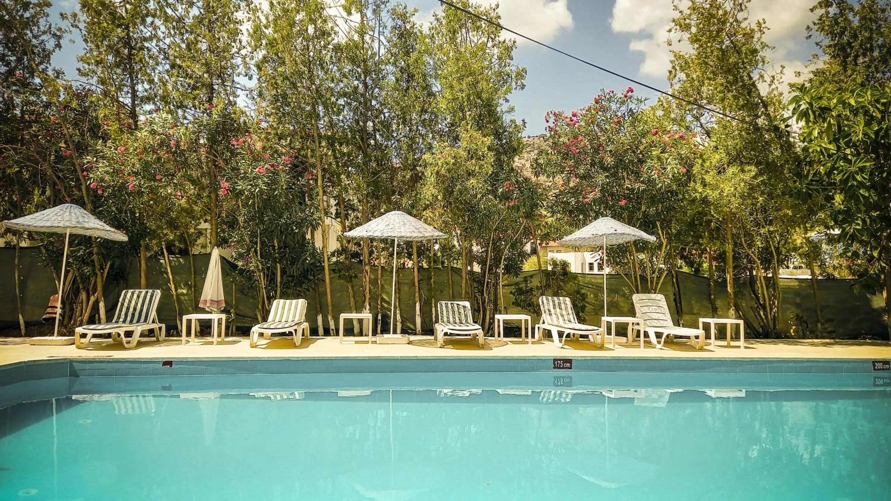 Garden view in Hotel Tropicana
