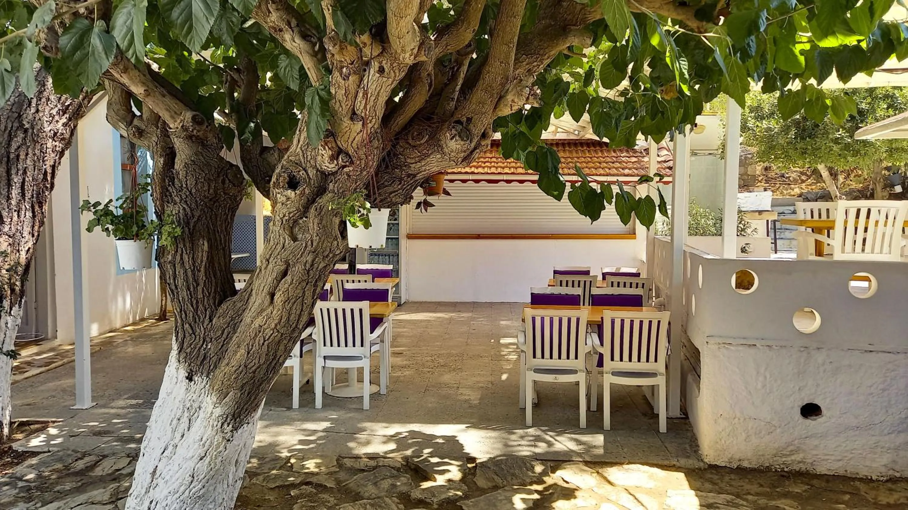 Garden in Hotel Tropicana