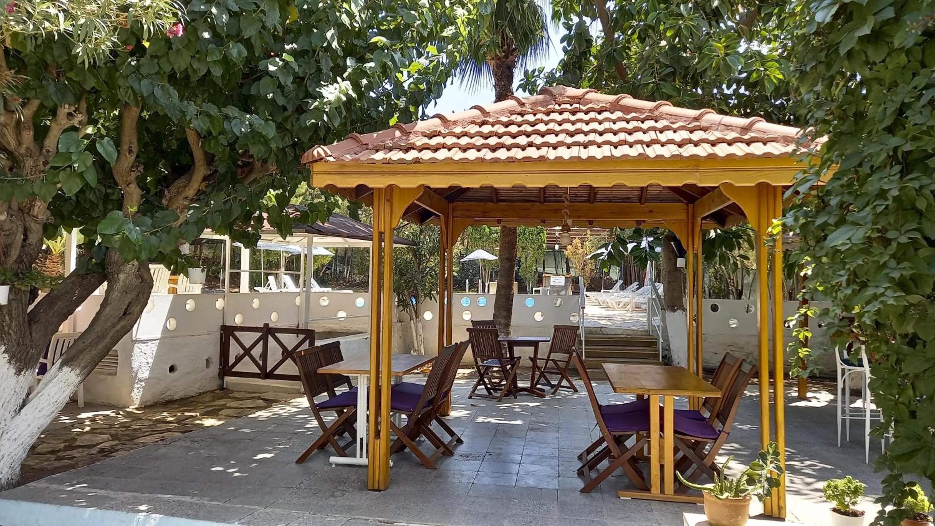 Garden in Hotel Tropicana