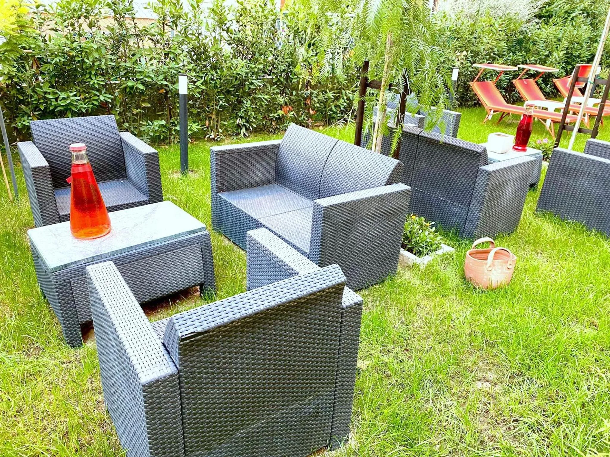 Garden view in Hotel Maioli B&B