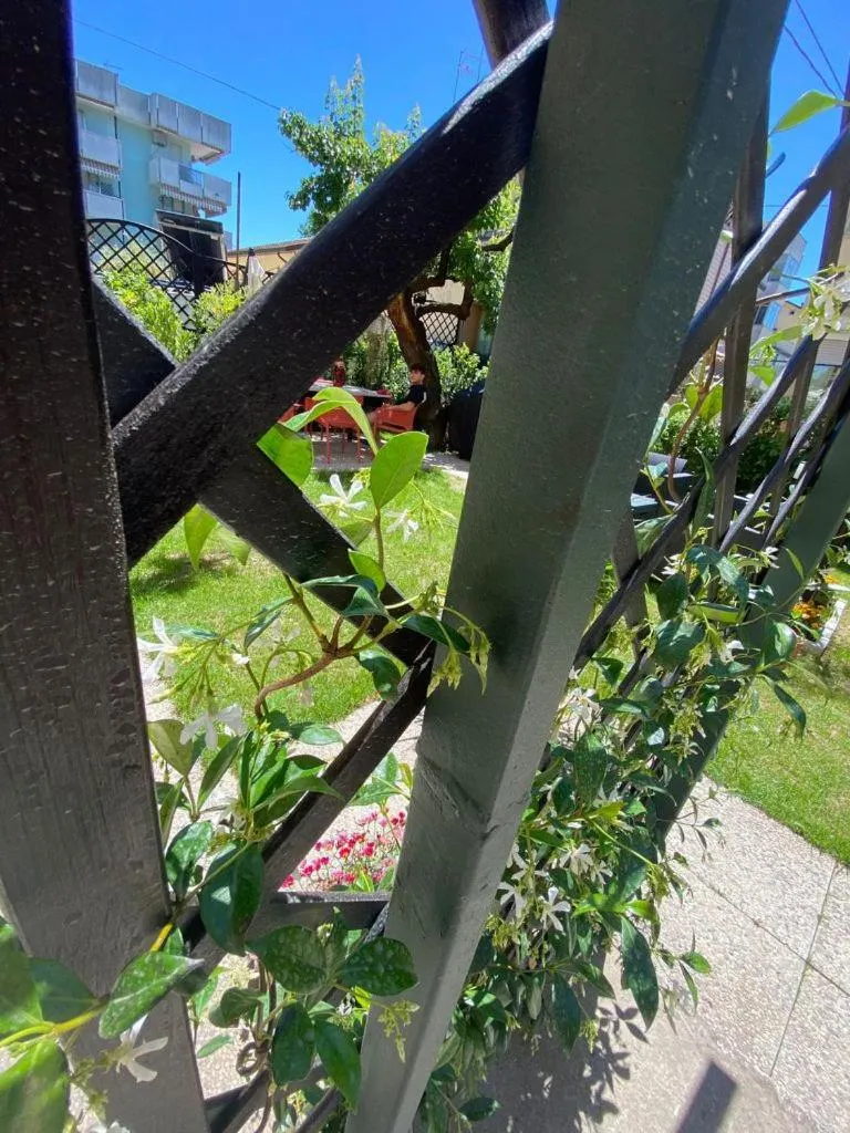 Garden in Hotel Maioli B&B