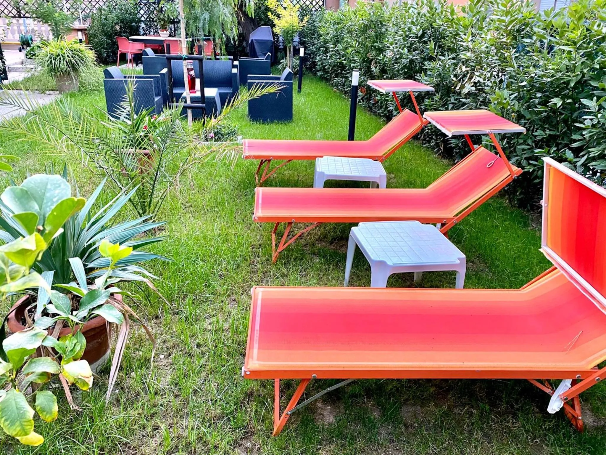 Garden in Hotel Maioli B&B