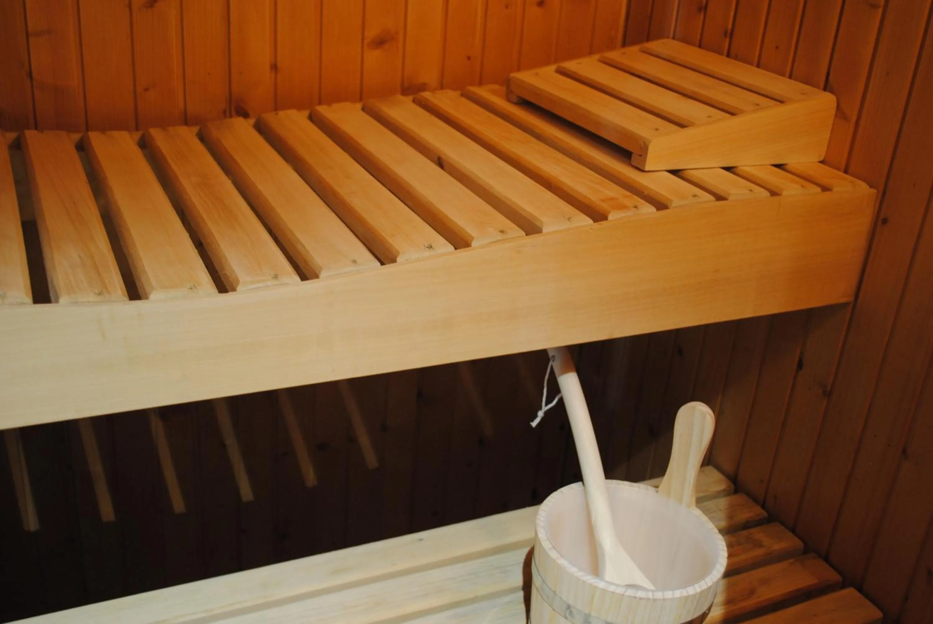 Sauna in Auvergnat'Home