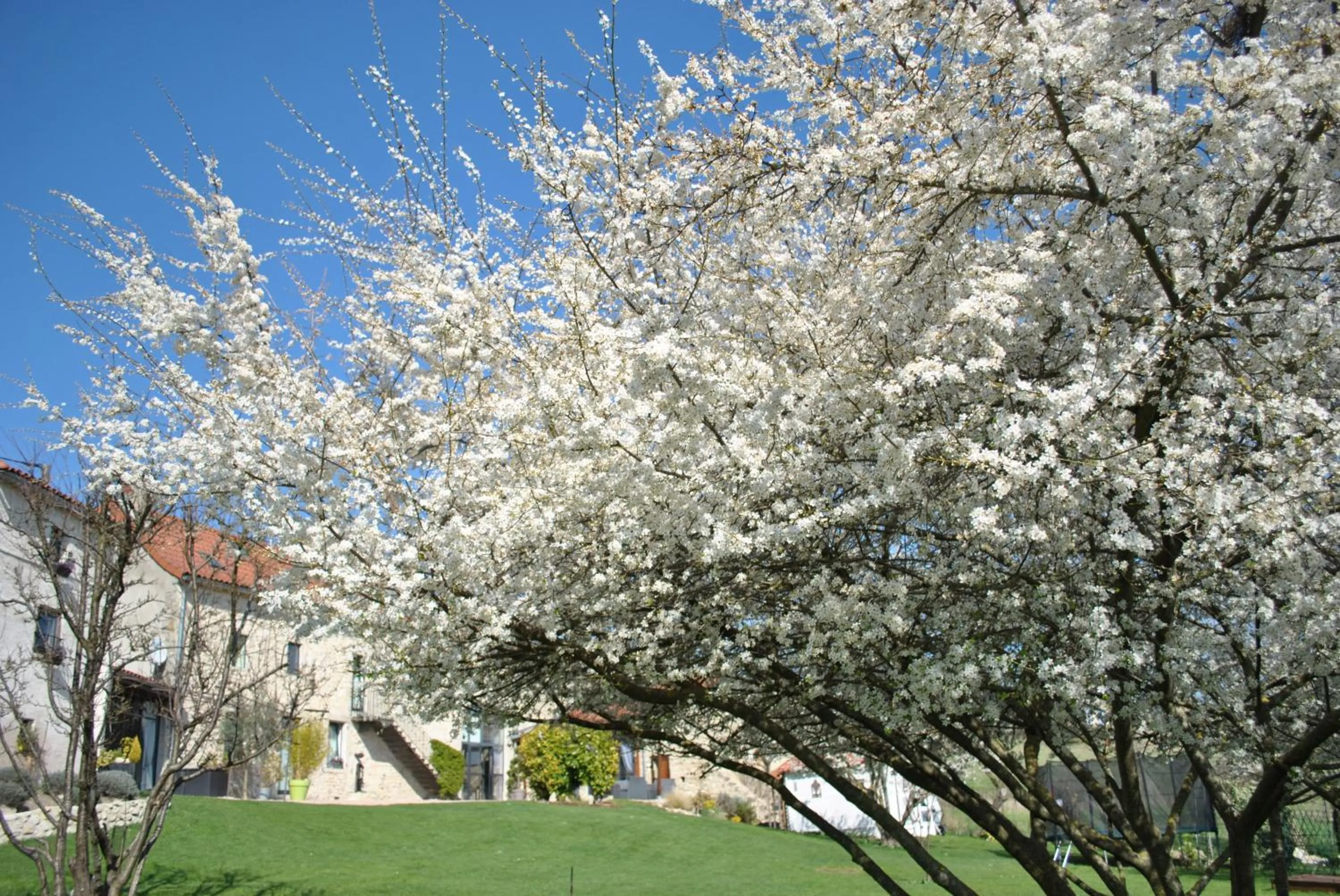 Spring in Auvergnat'Home