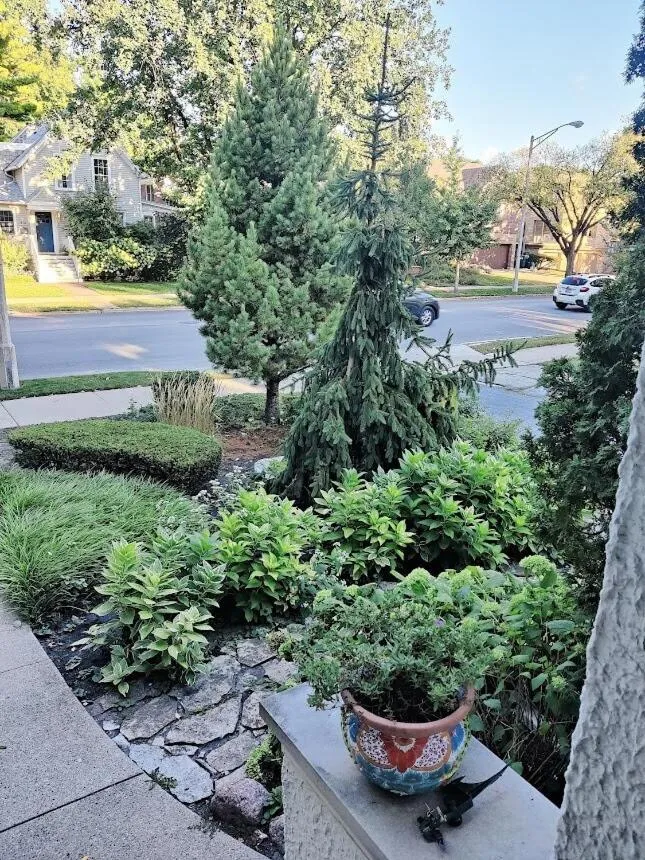 Property building in Historic Oak Park Residence