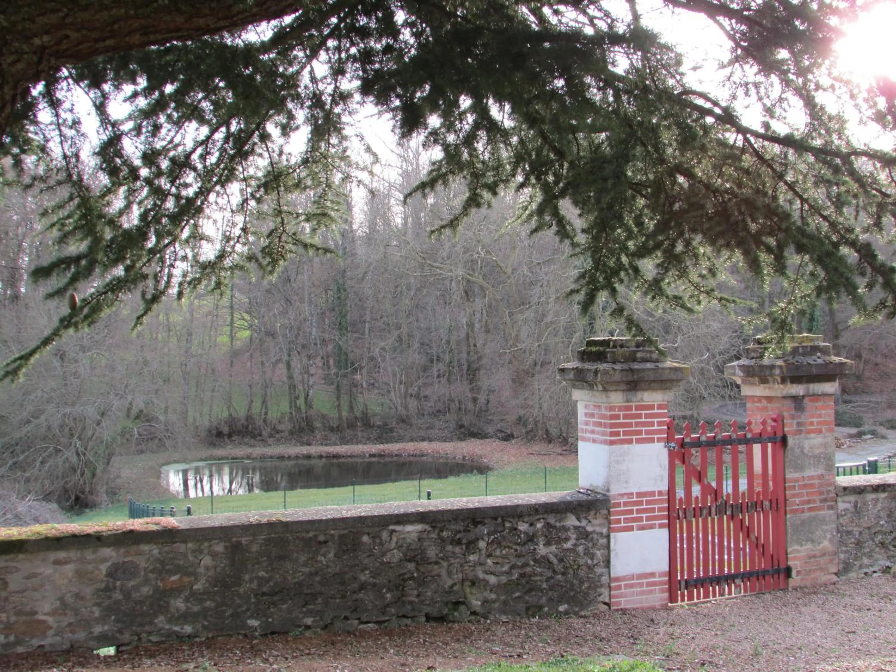 Garden in Chateau Lezat - Chambres d'Hotes