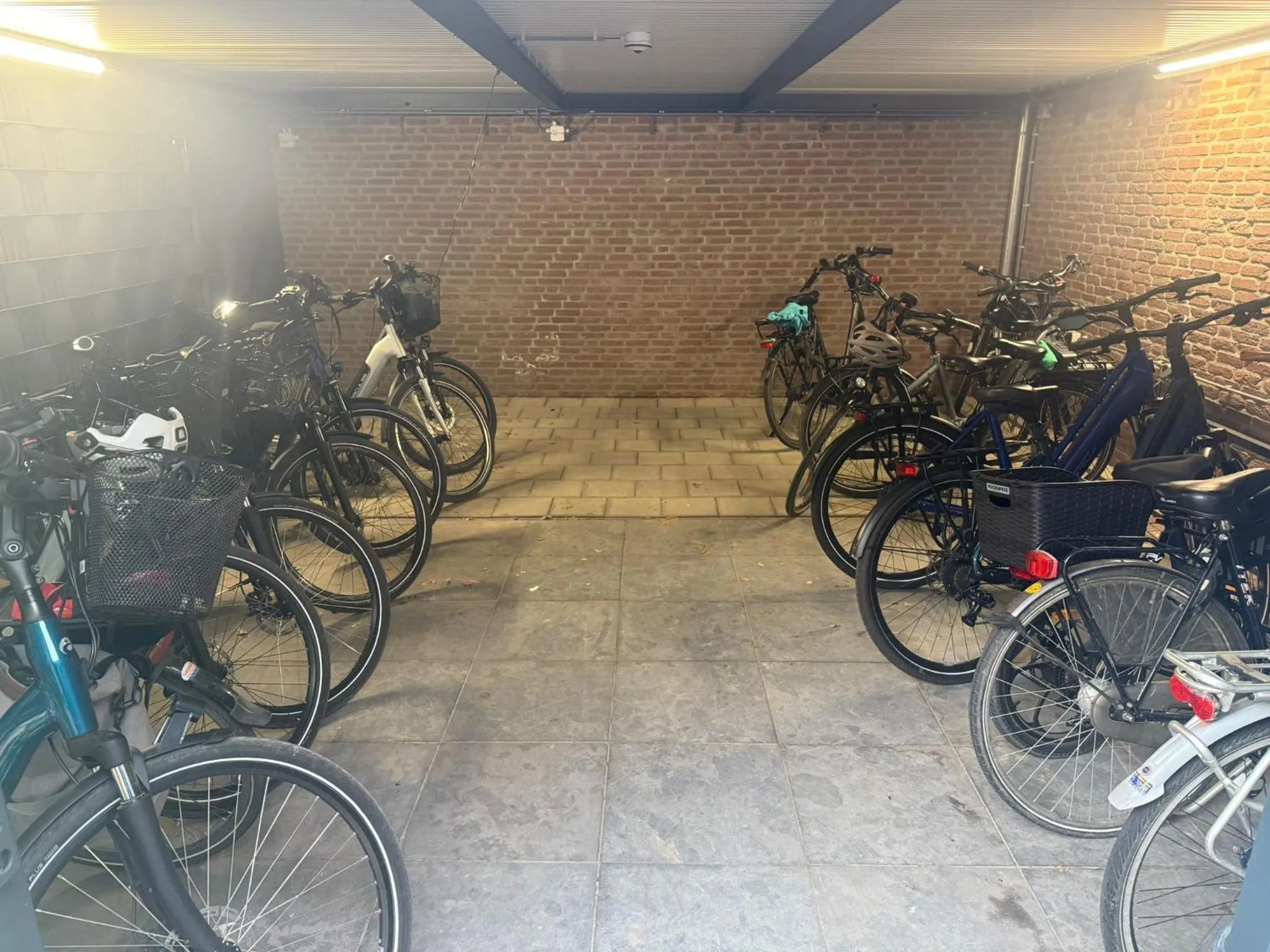 Cycling in Hoeve de Bongerd