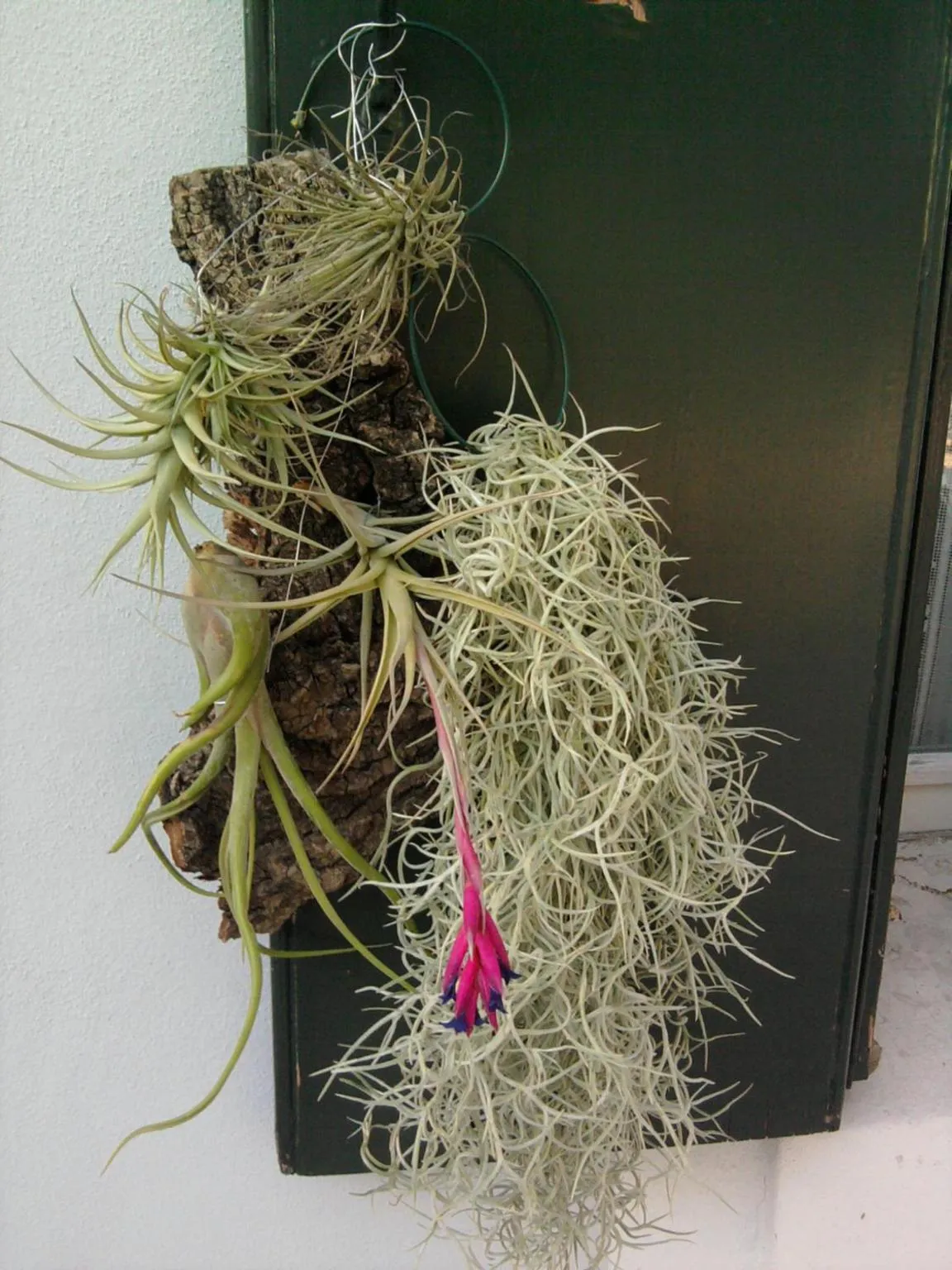 Bed & Breakfast Don Carlos