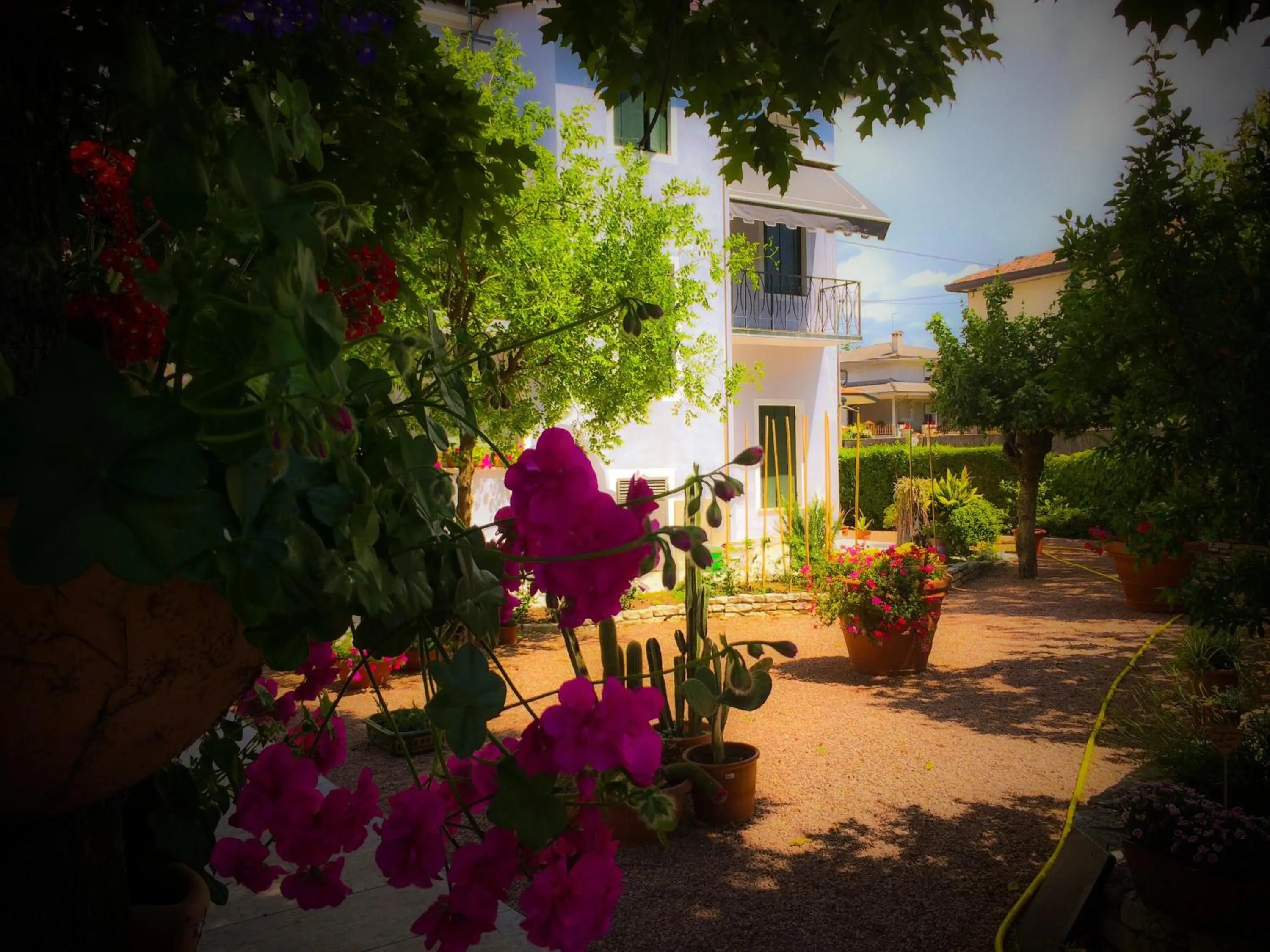 Other in Bed & Breakfast Don Carlos