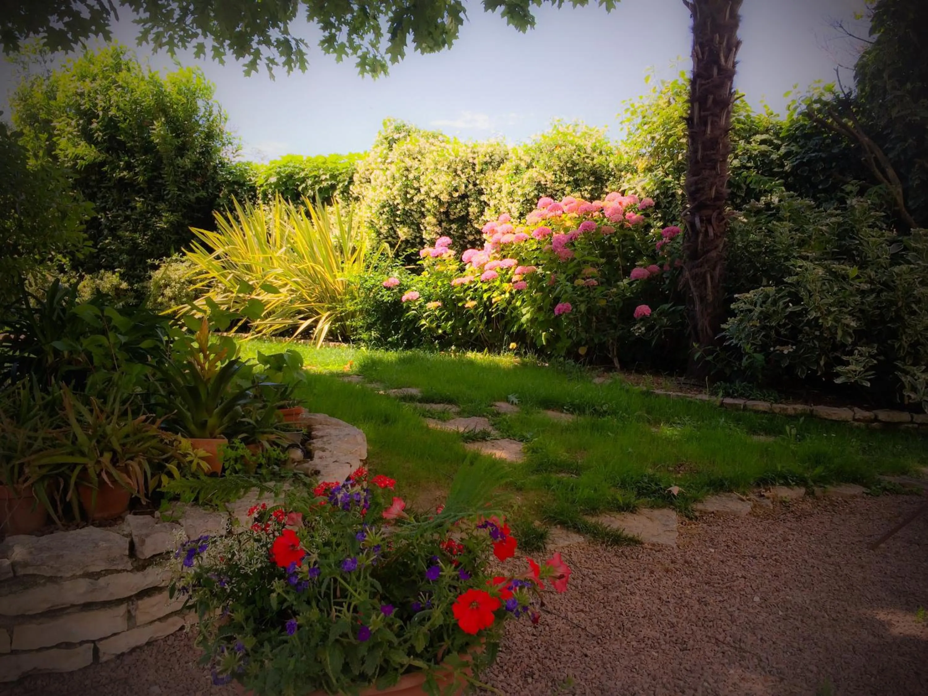 Garden in Bed & Breakfast Don Carlos